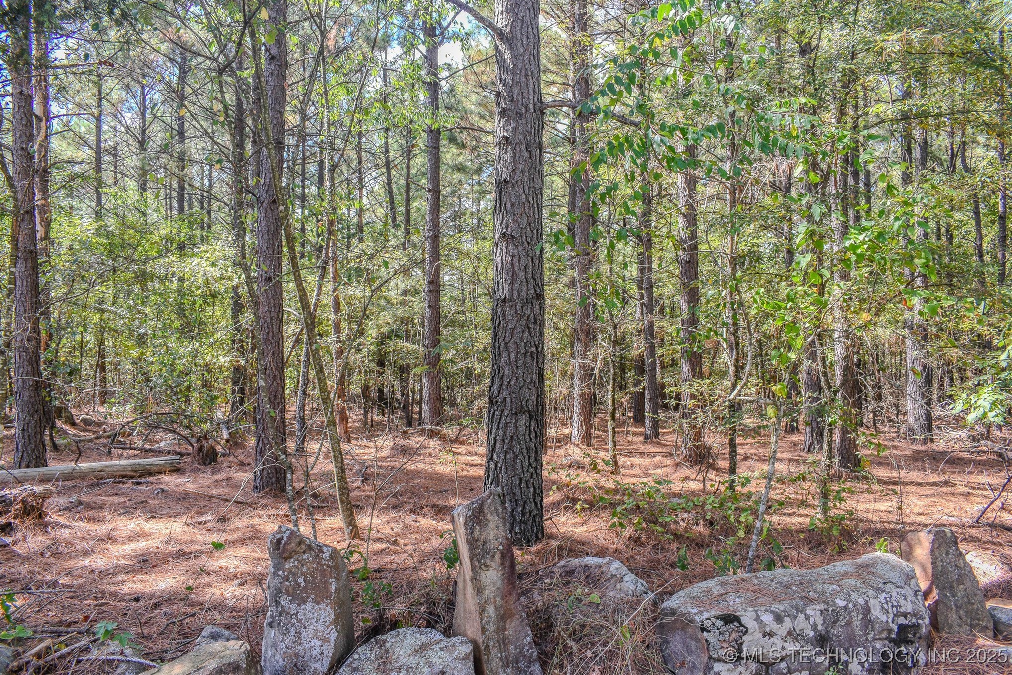 414041 E 1878 Road Antlers OK 74523