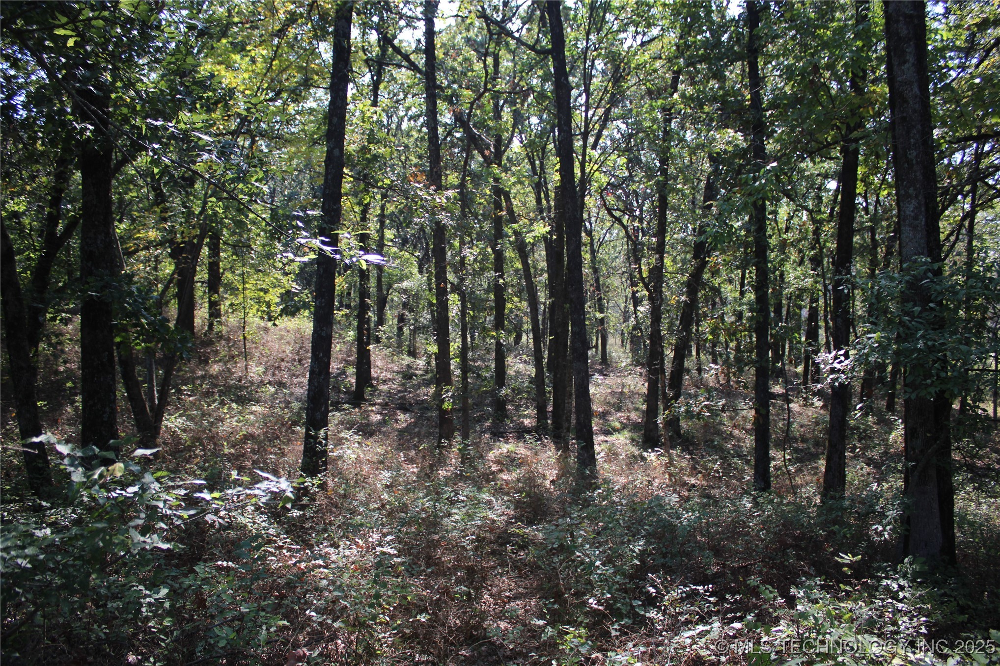 24901 E 280 Road Chelsea OK 74016