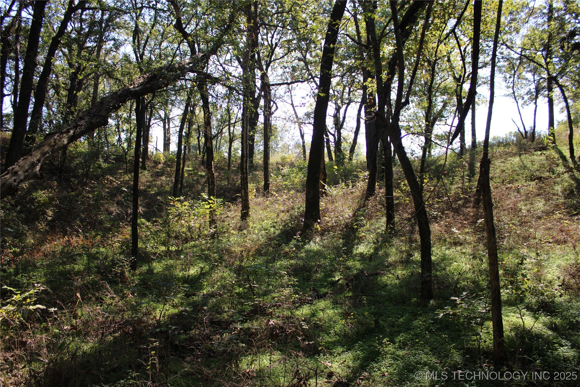 24901 E 280 Road Chelsea OK 74016