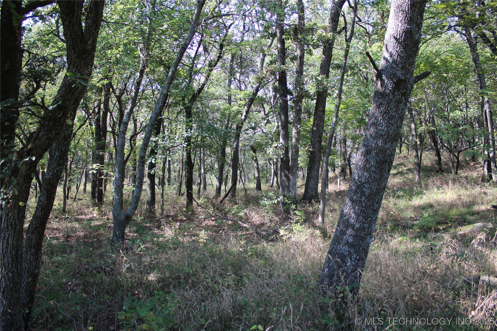 24901 E 280 Road Chelsea OK 74016