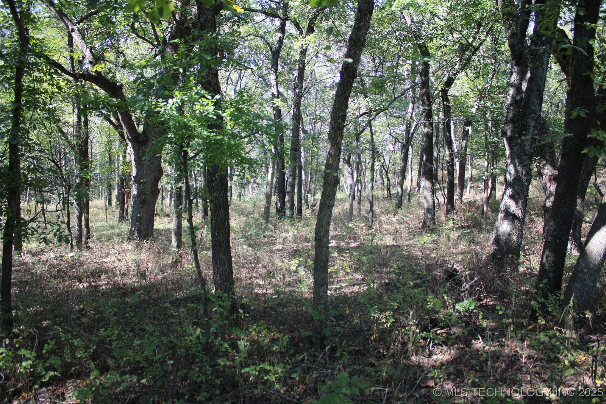 24901 E 280 Road Chelsea OK 74016