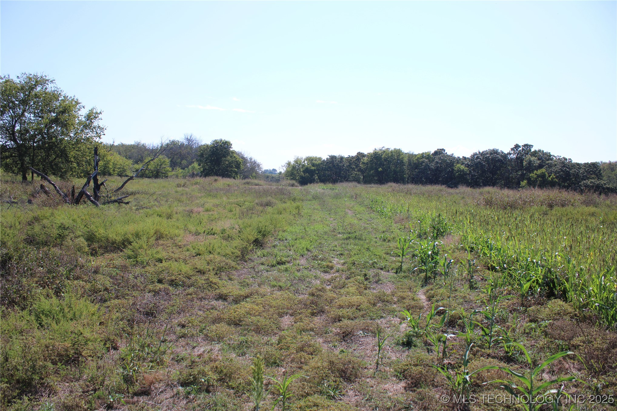 24901 E 280 Road Chelsea OK 74016
