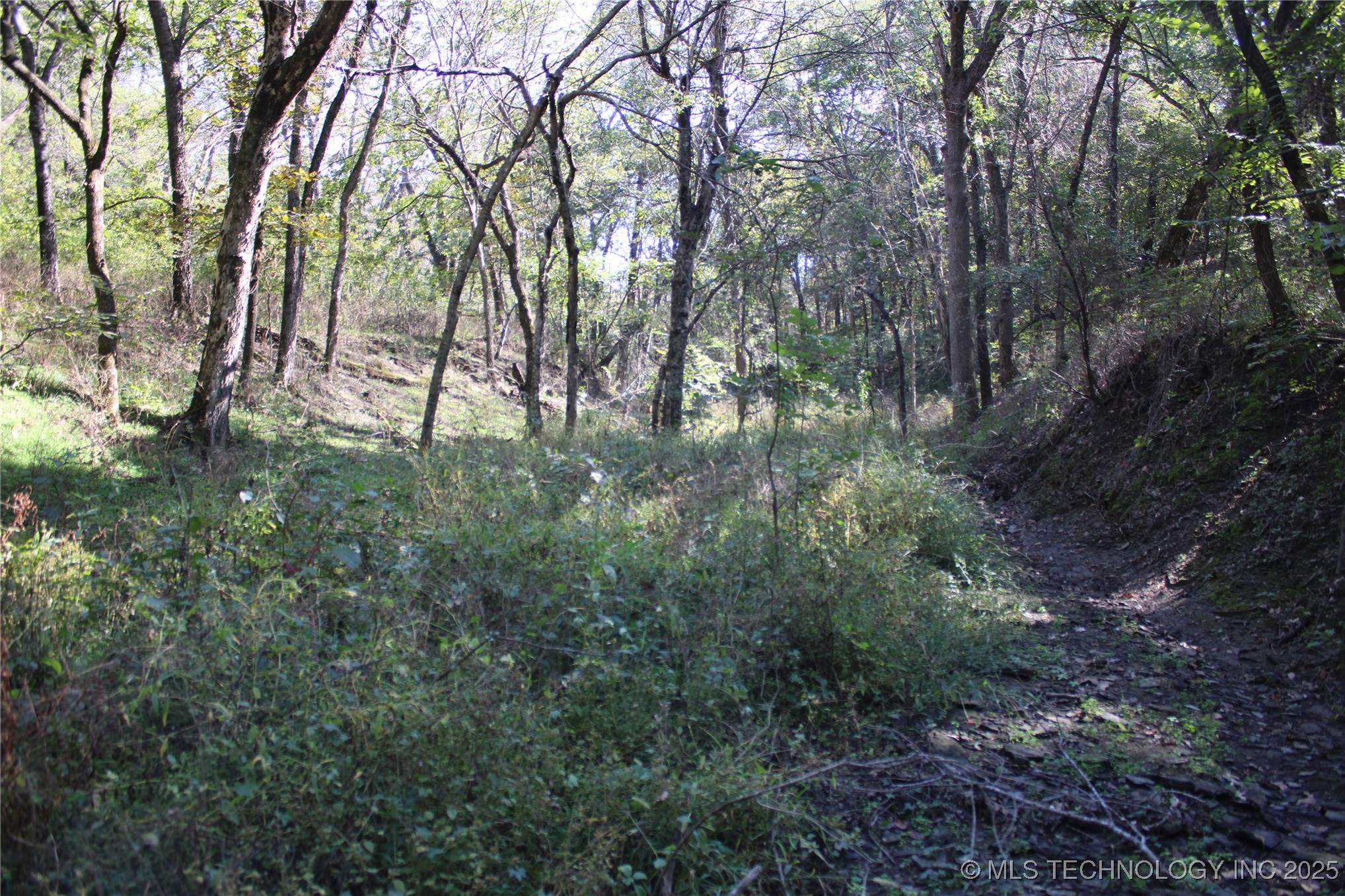 24901 E 280 Road Chelsea OK 74016