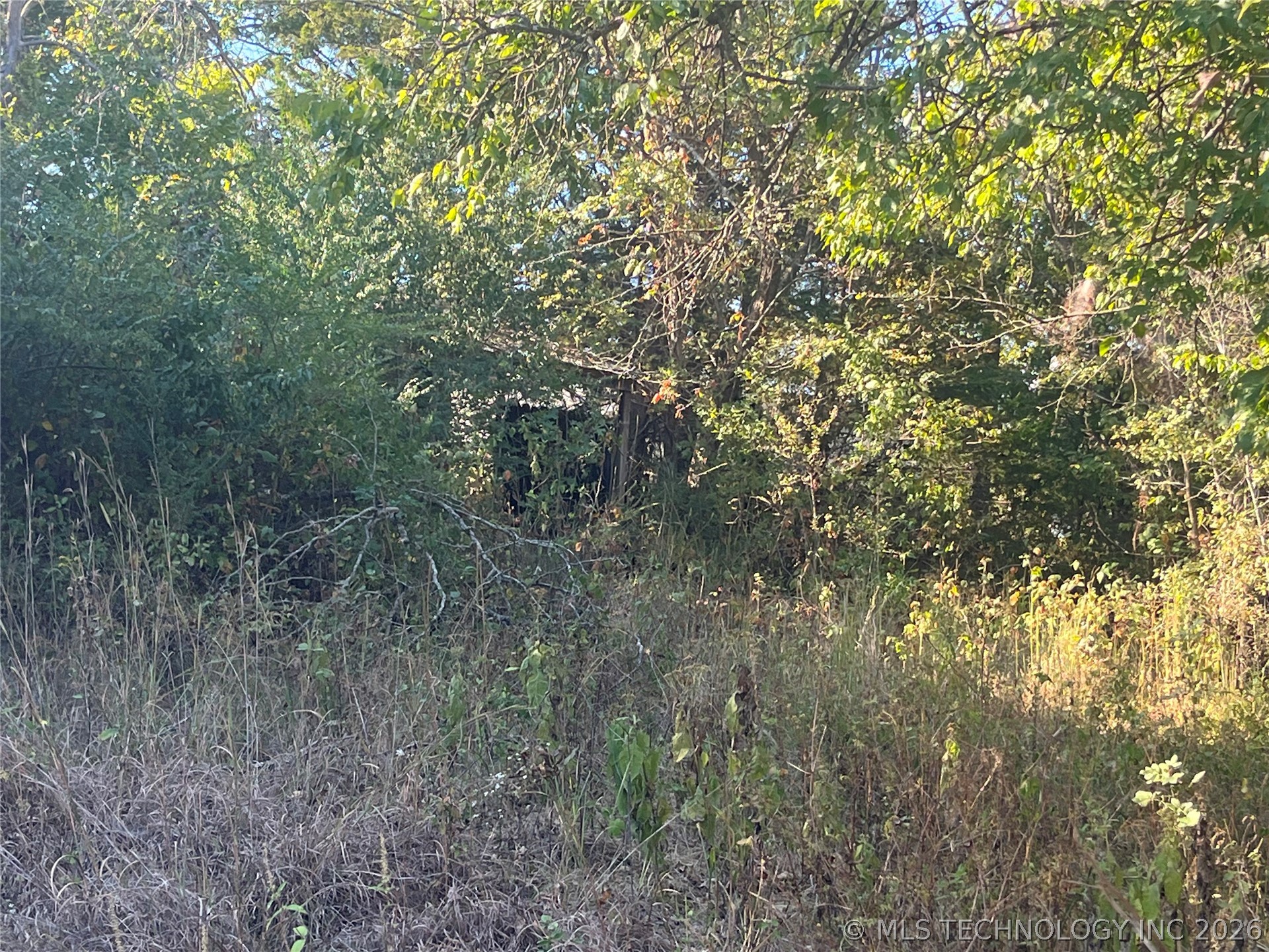 20538 County Road 1480 Street Francis OK 74820