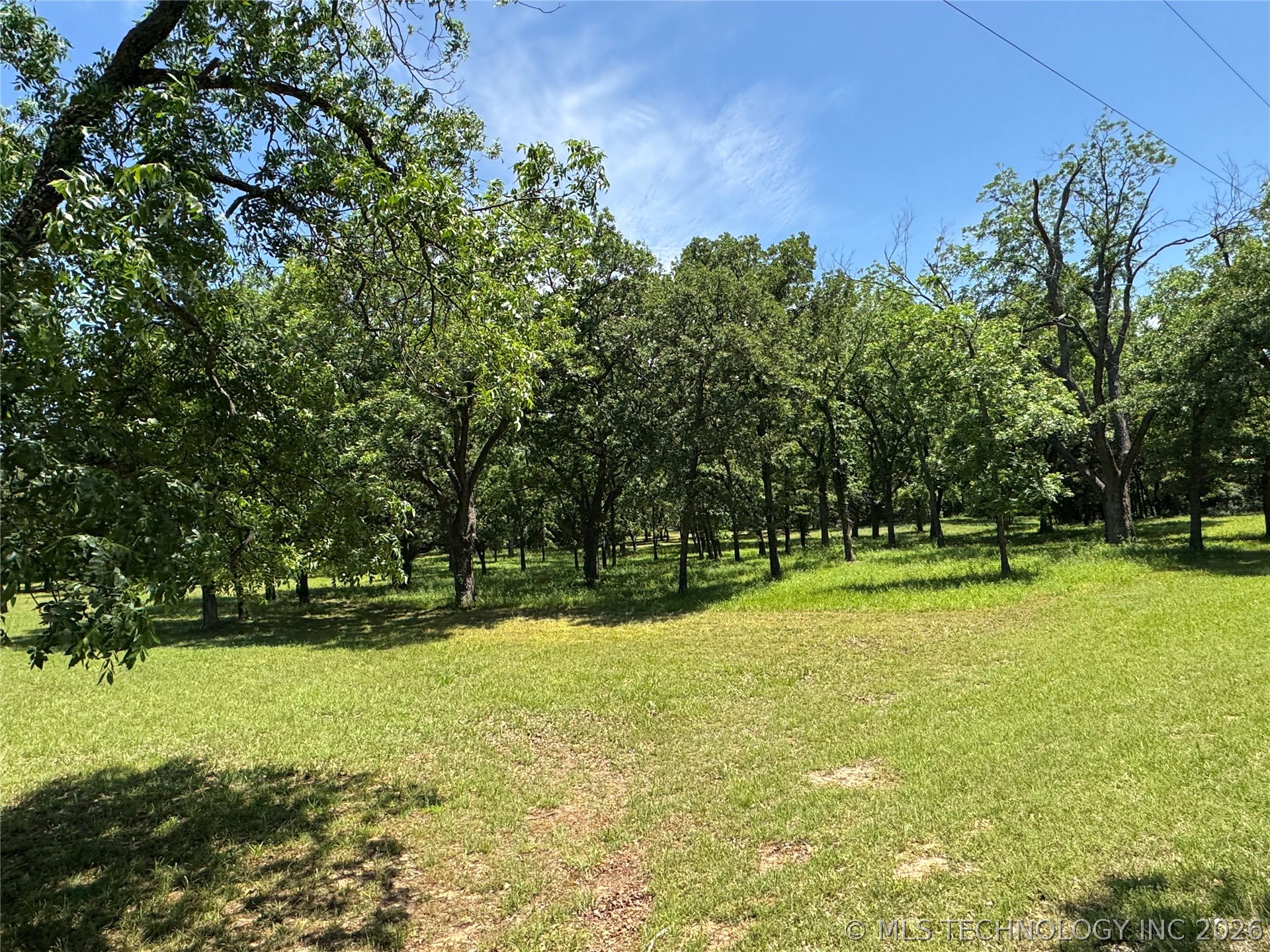148 Big Buck Lone Grove OK 73443