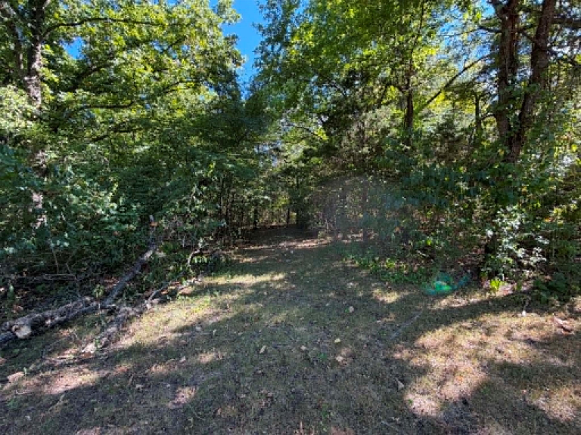53 Apache Place Burneyville OK 73430