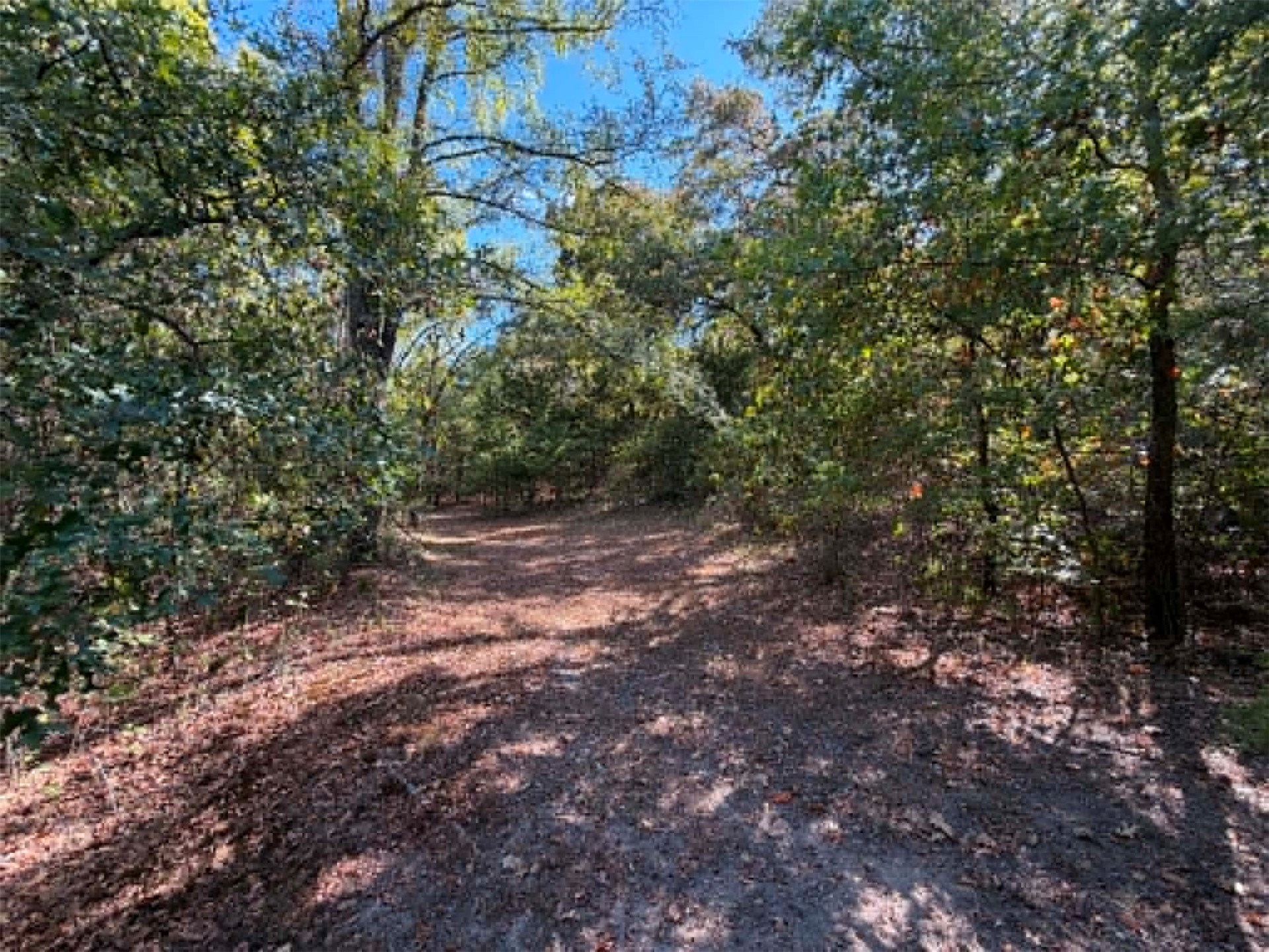 53 Apache Place Burneyville OK 73430