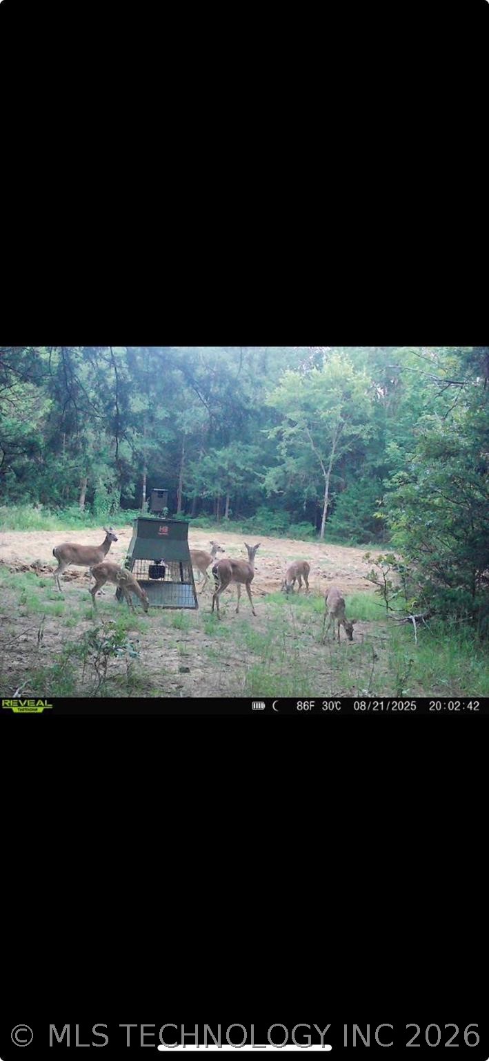 240 Magnolia Lane Bennington OK 74723