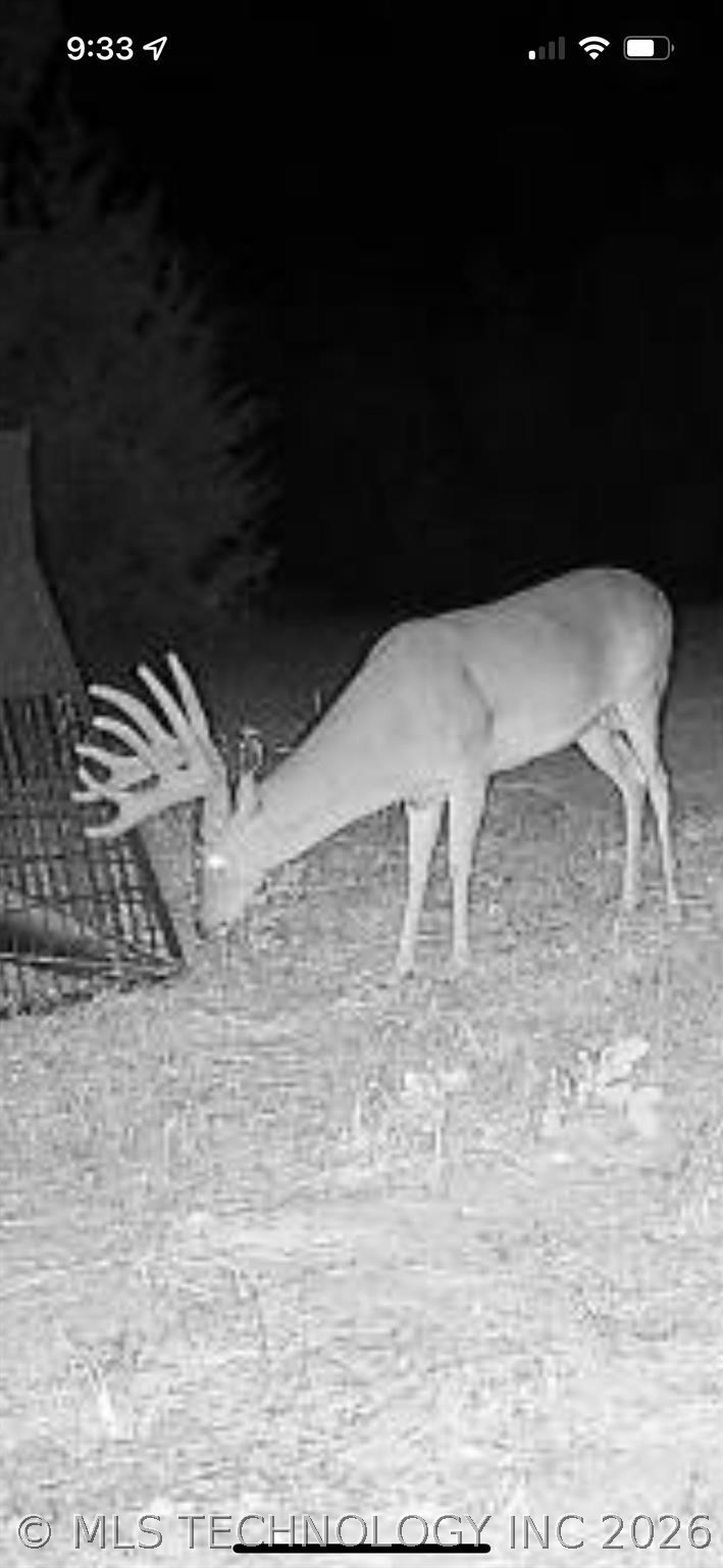 240 Magnolia Lane Bennington OK 74723