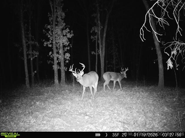 13020 N 364 Road Wewoka OK 74884