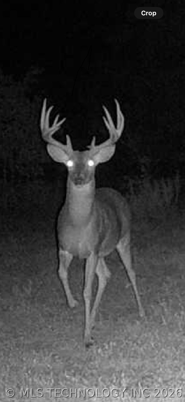 349601 E 4500 Road Pawnee OK 74058