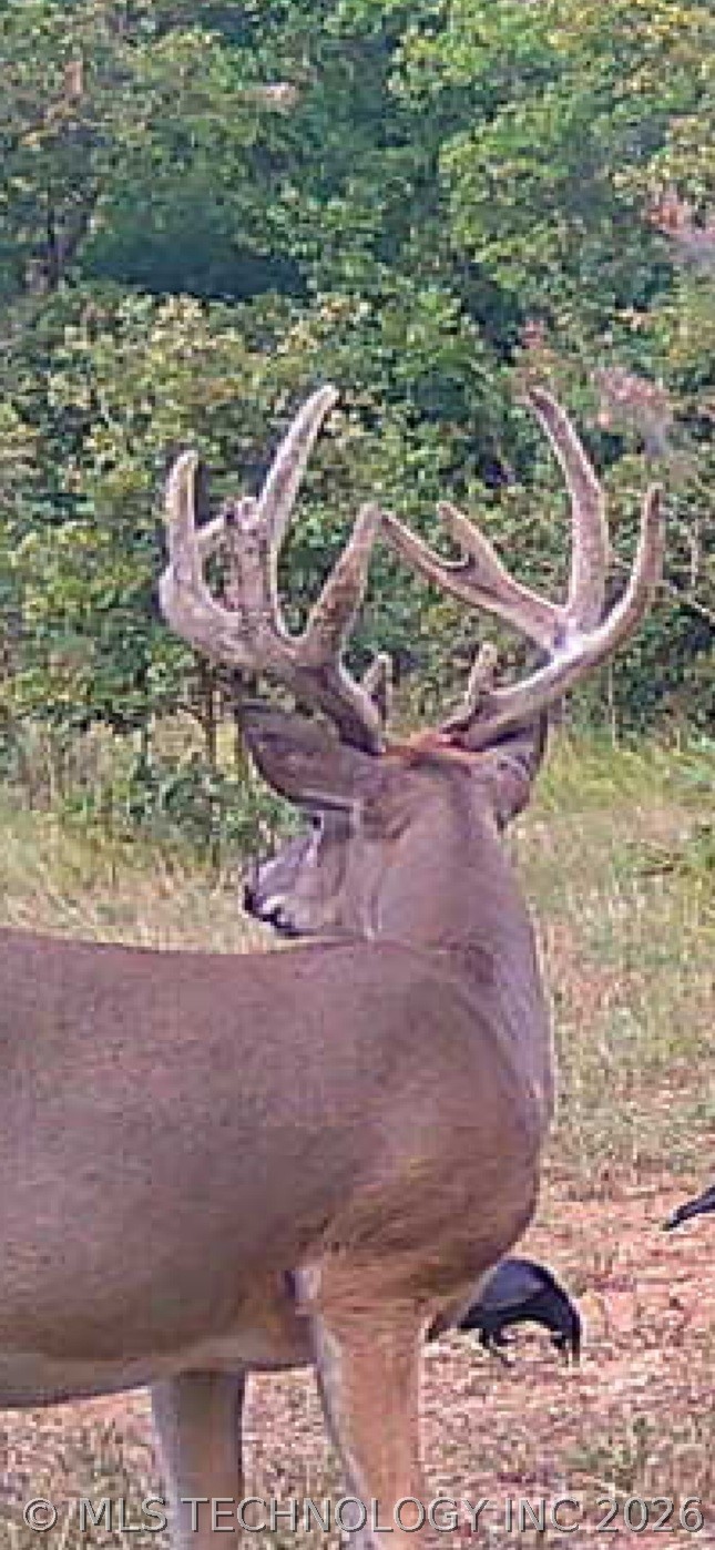 349601 E 4500 Road Pawnee OK 74058