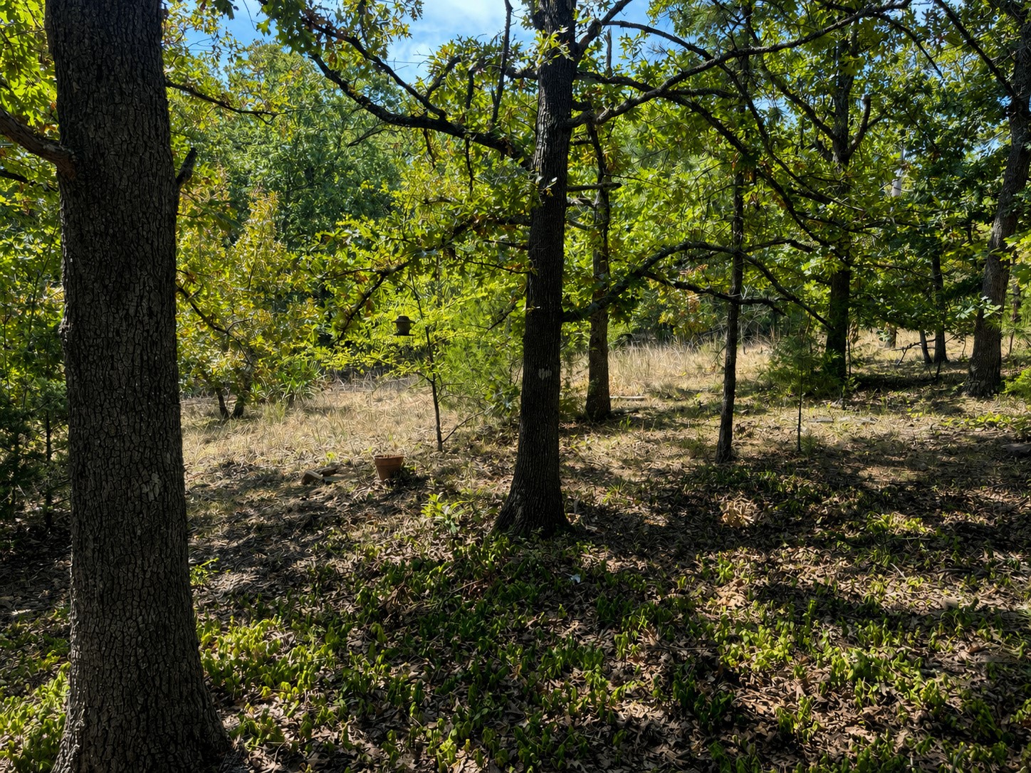 427 Lake Shore Atoka OK 74525