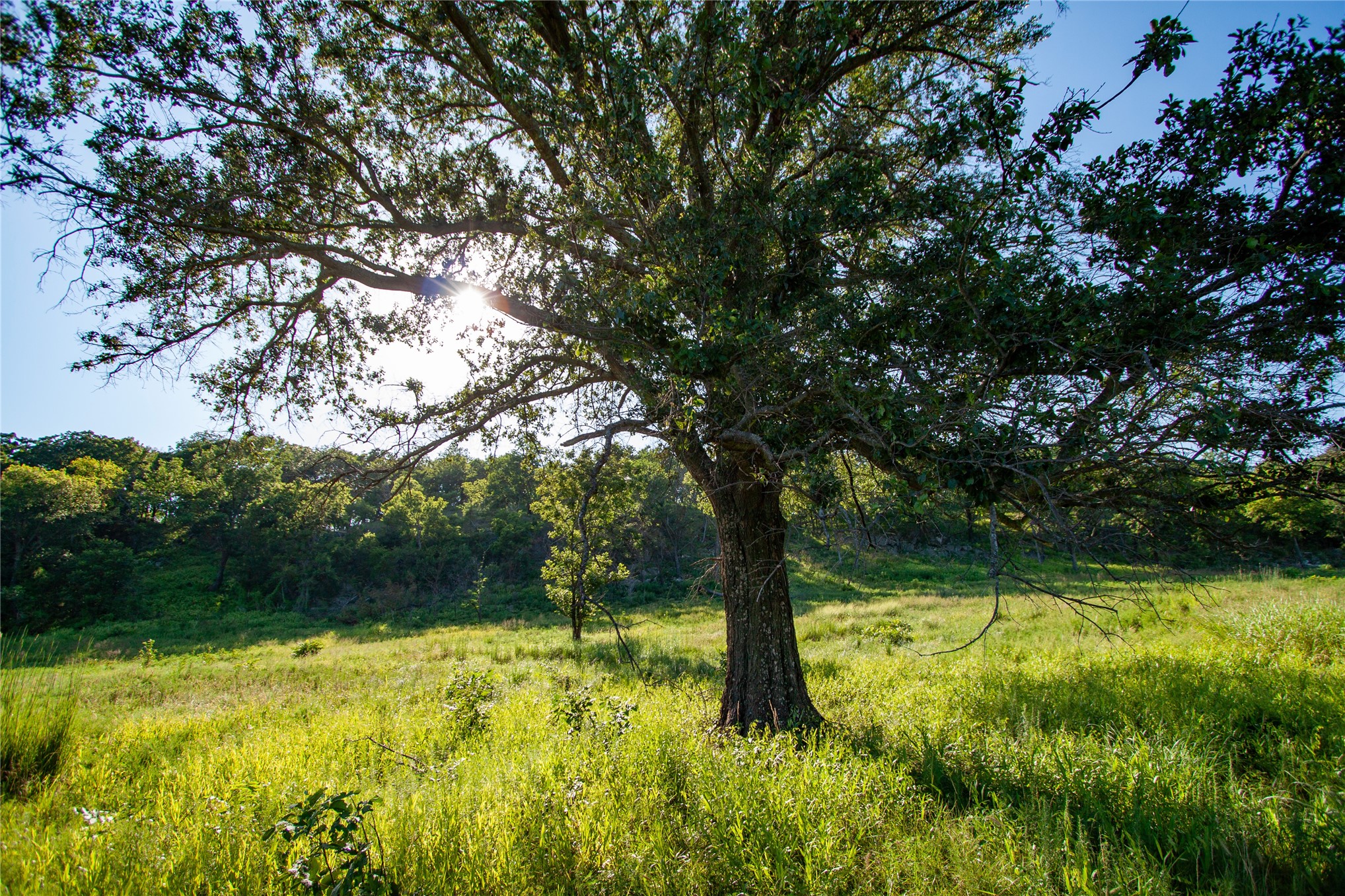 14202 E Reynolds Road Kiowa OK 74553