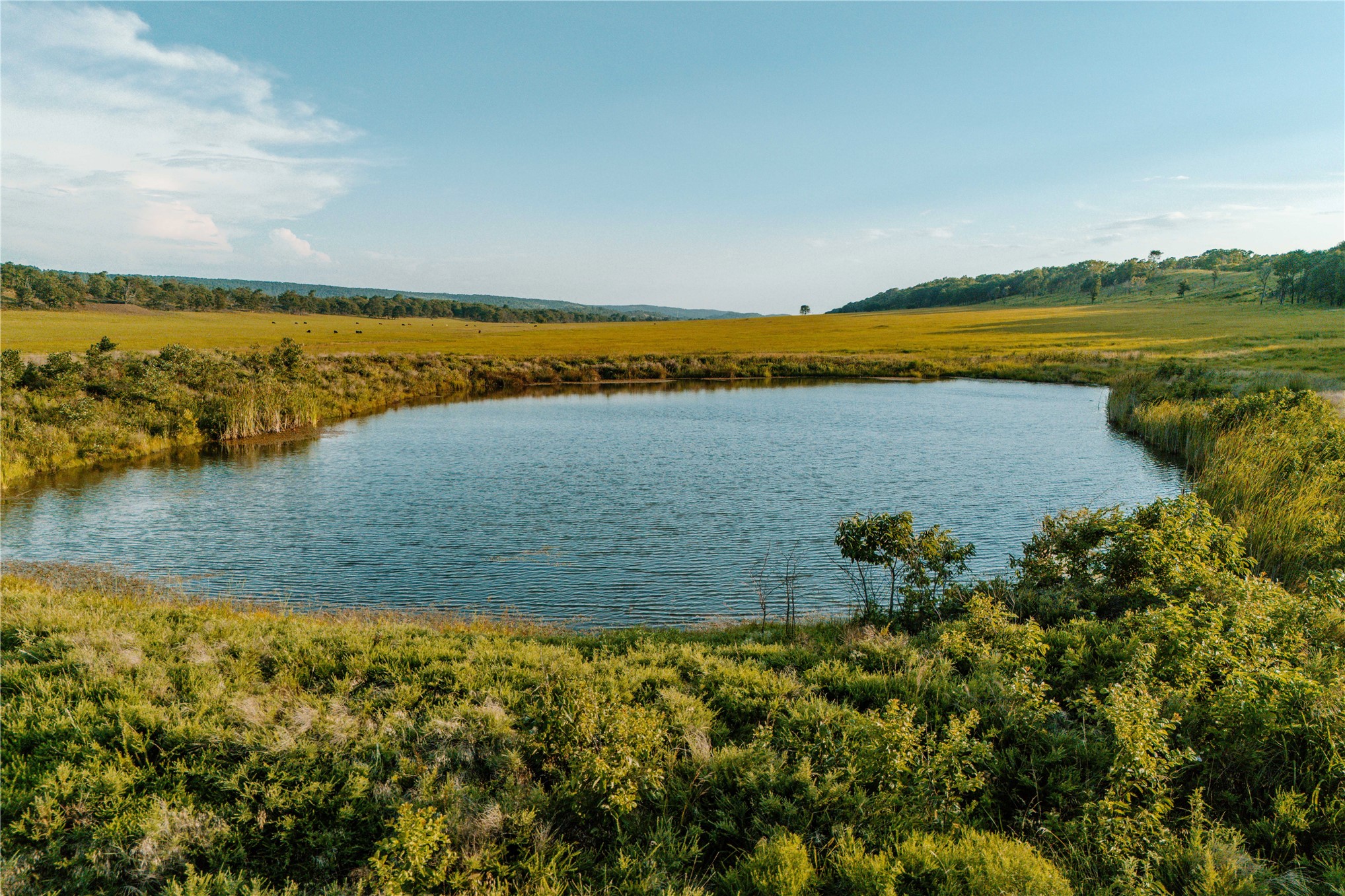 14202 E Reynolds Road Kiowa OK 74553