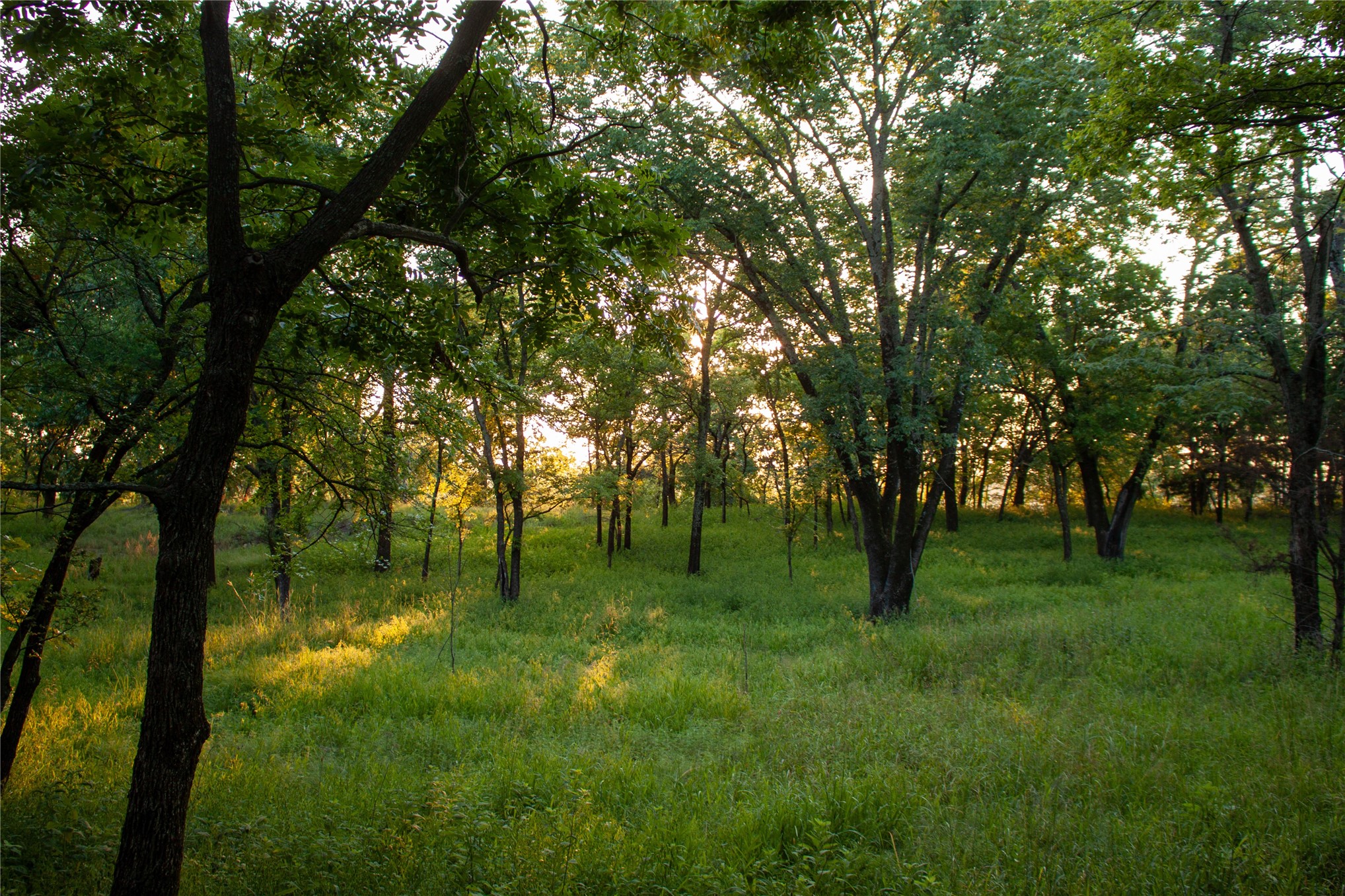 14202 E Reynolds Road Kiowa OK 74553