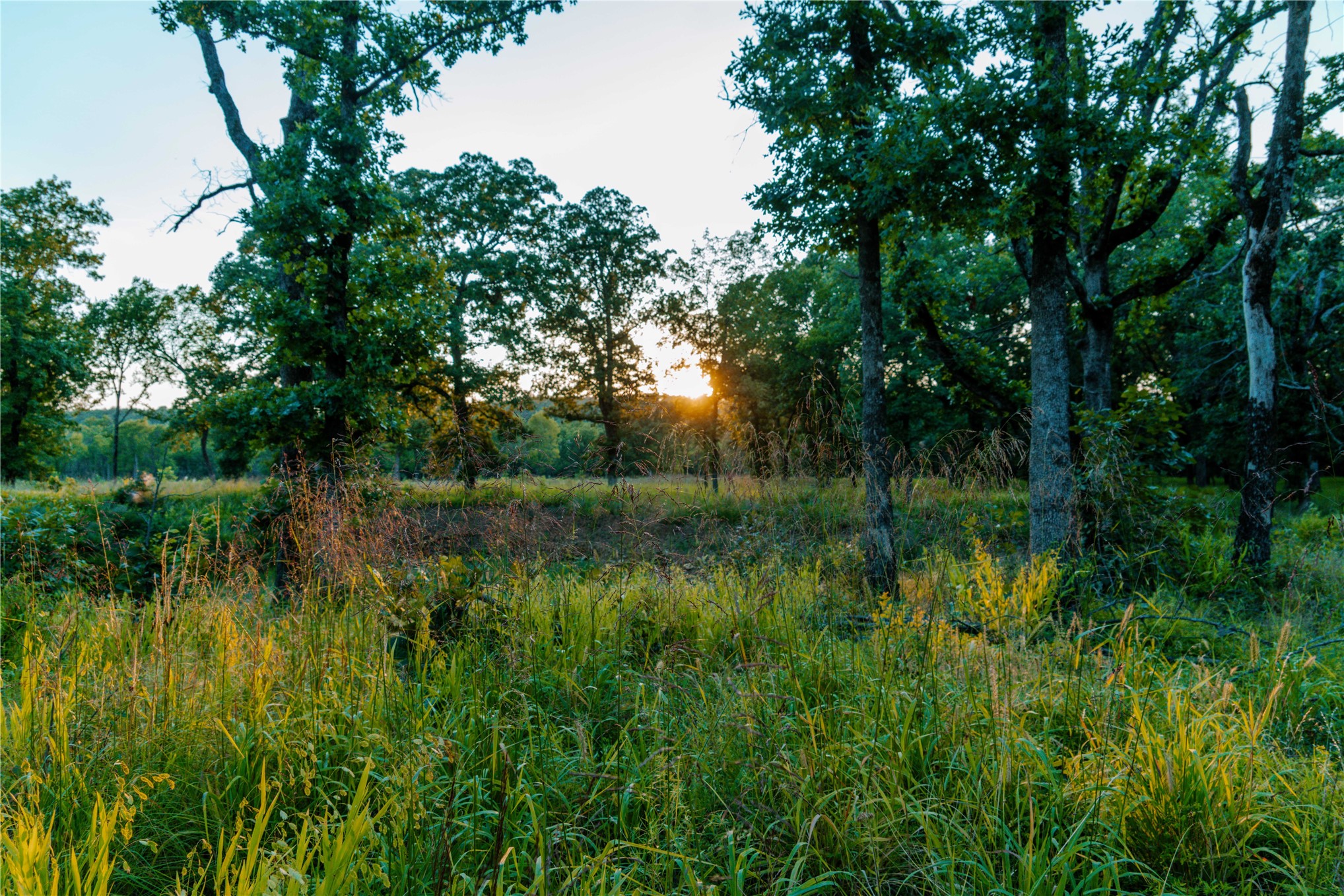 14202 E Reynolds Road Kiowa OK 74553