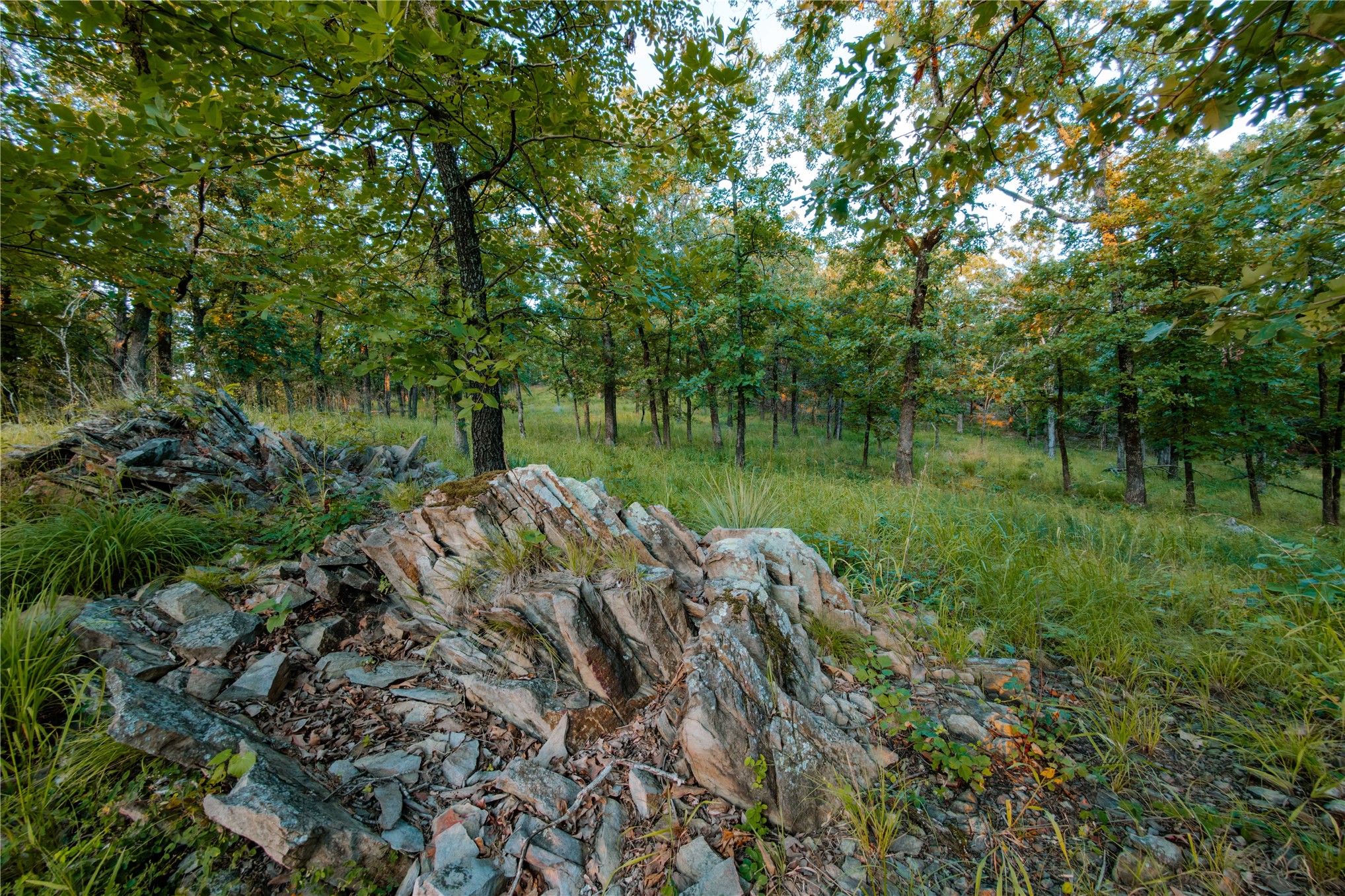 14202 E Reynolds Road Kiowa OK 74553