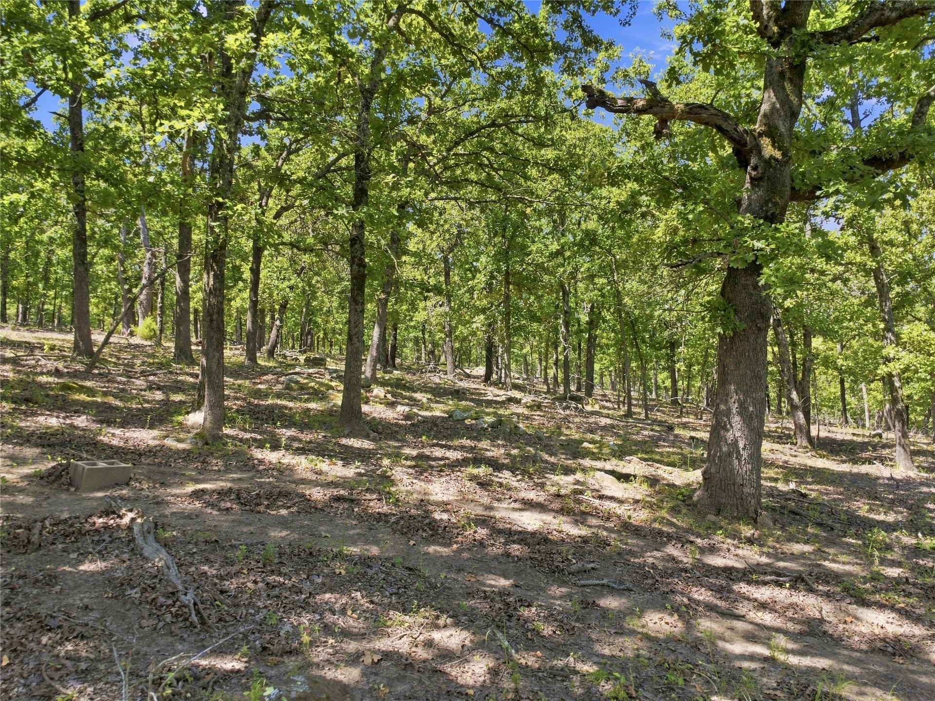 19173 Kellyville Ranch Road Kellyville OK 74039