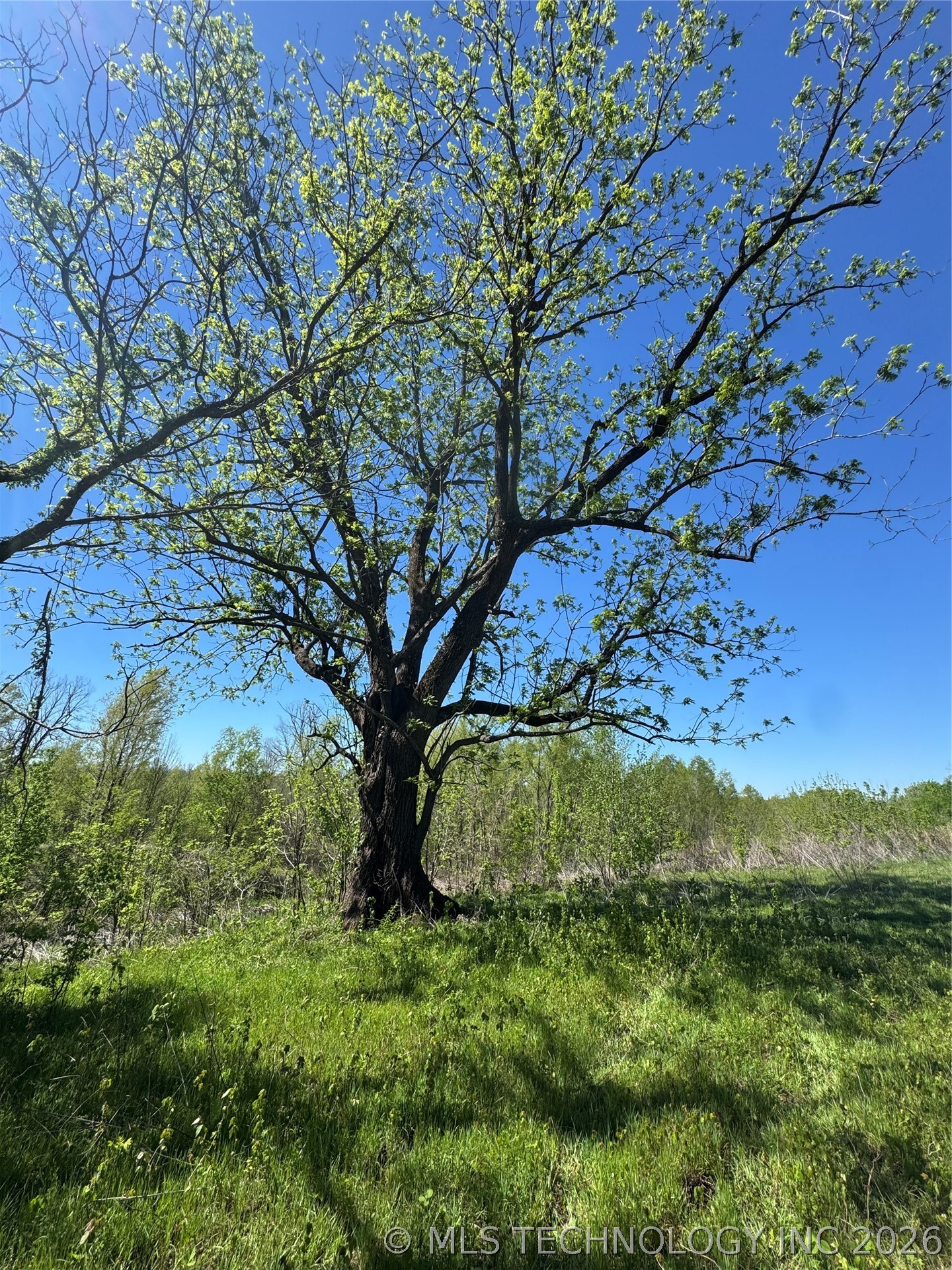000 N Tree Farm Road Garvin OK 74736