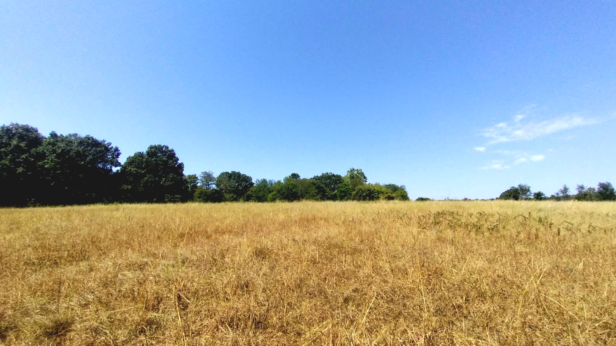 467353 W Highway 62 Westville OK 74965