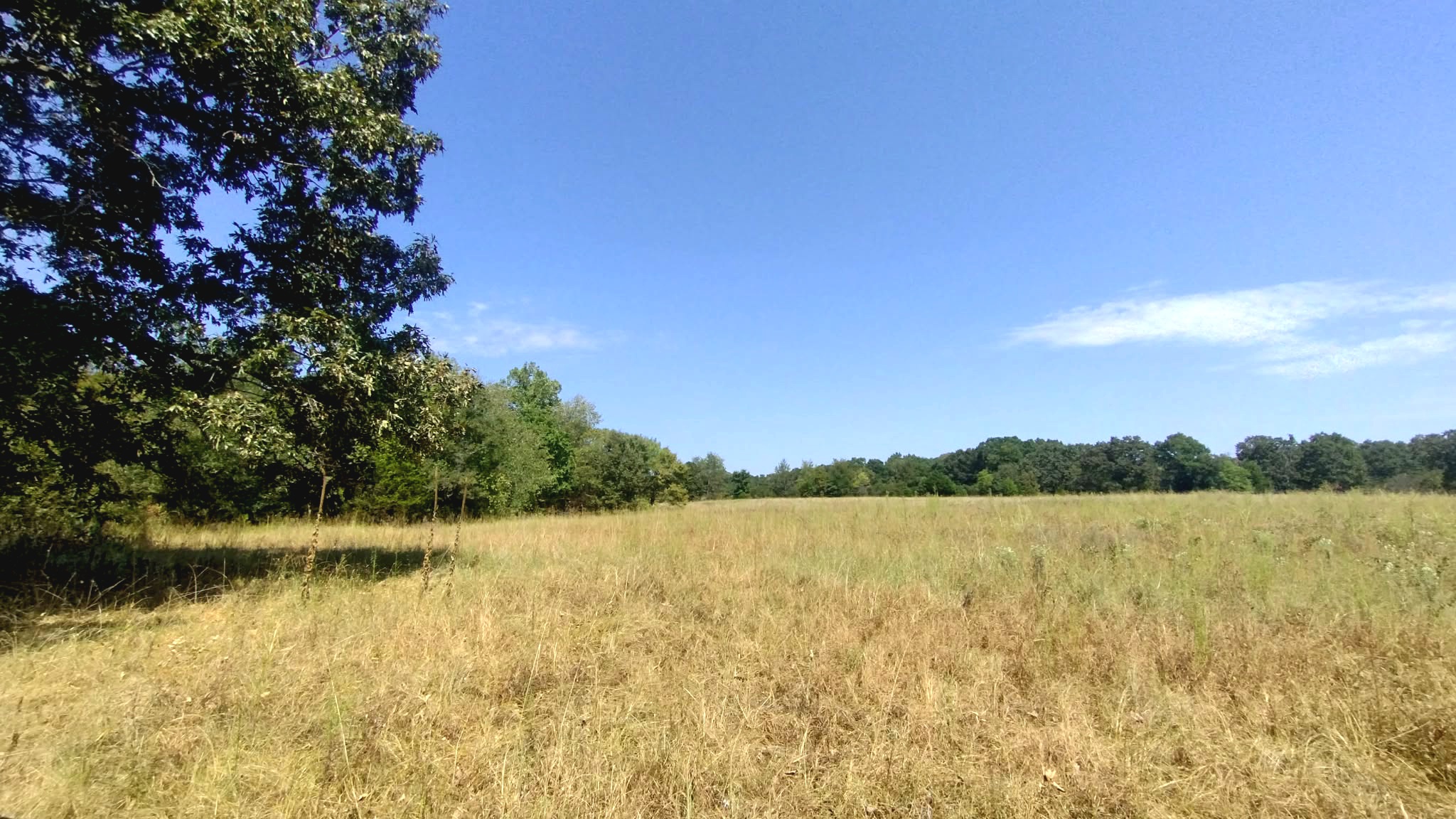 467353 W Highway 62 Westville OK 74965
