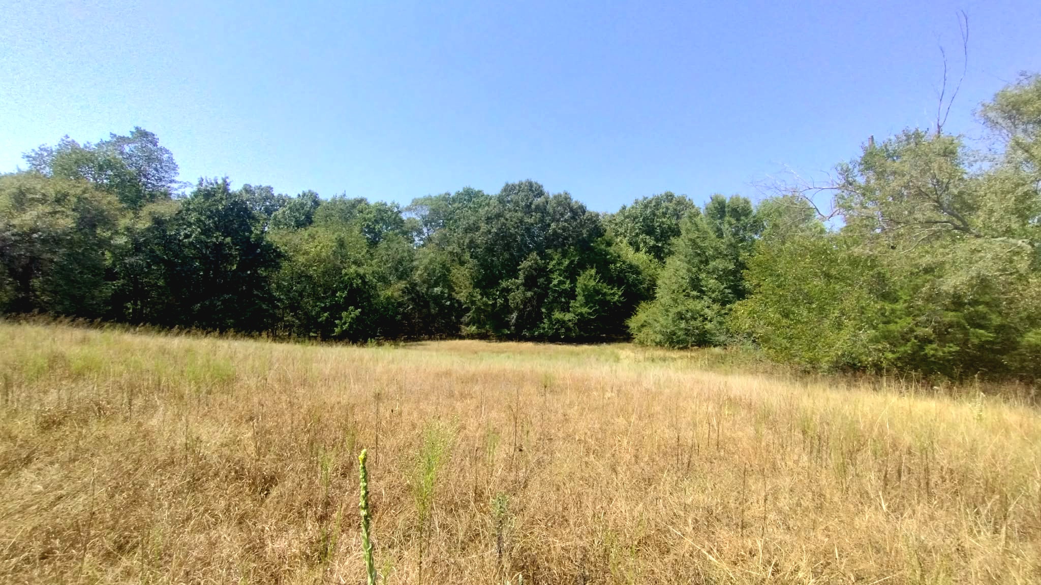 467353 W Highway 62 Westville OK 74965