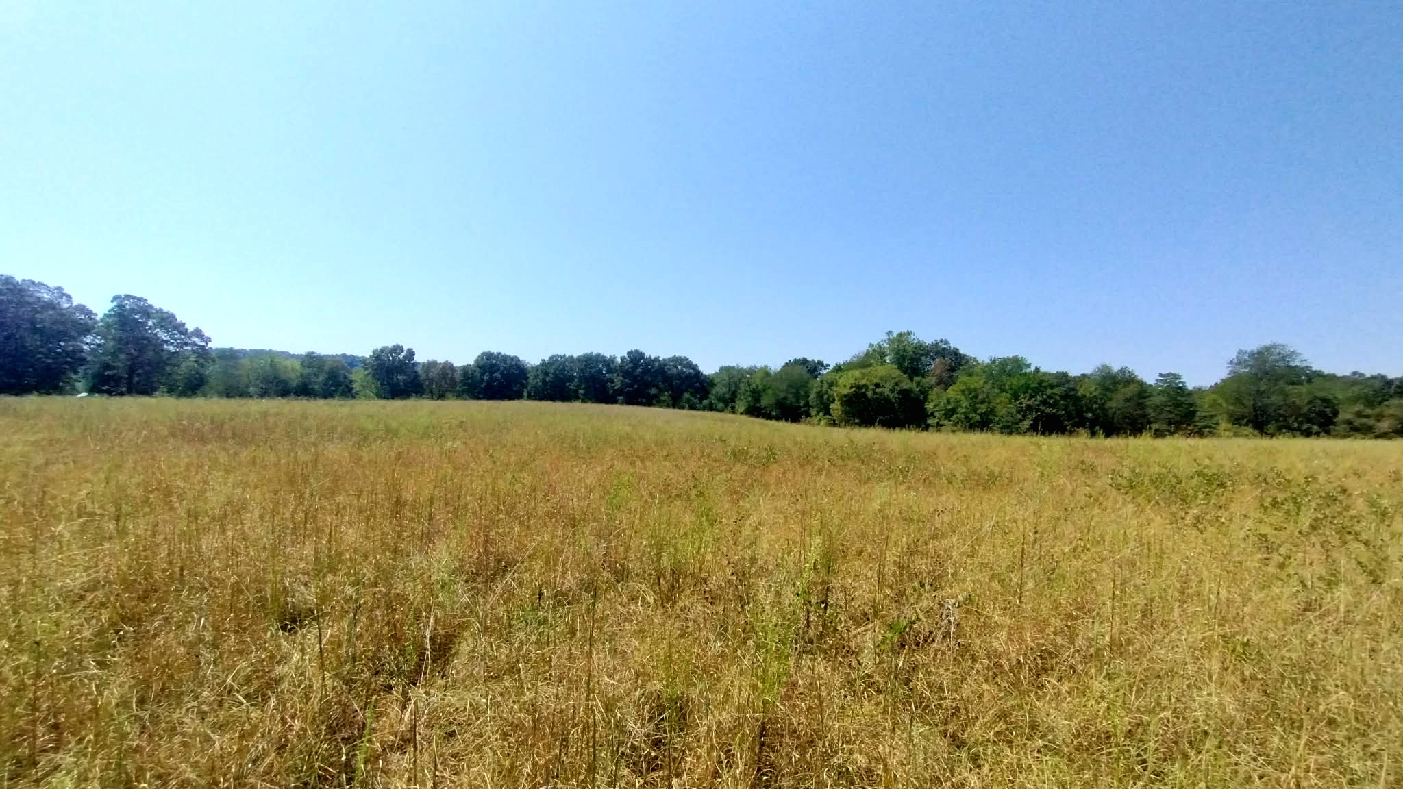 467353 W Highway 62 Westville OK 74965