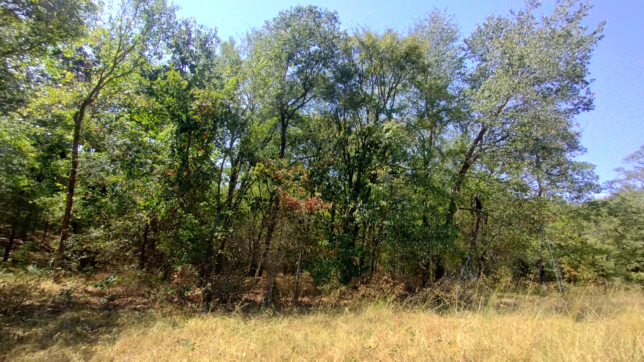 467353 W Highway 62 Westville OK 74965