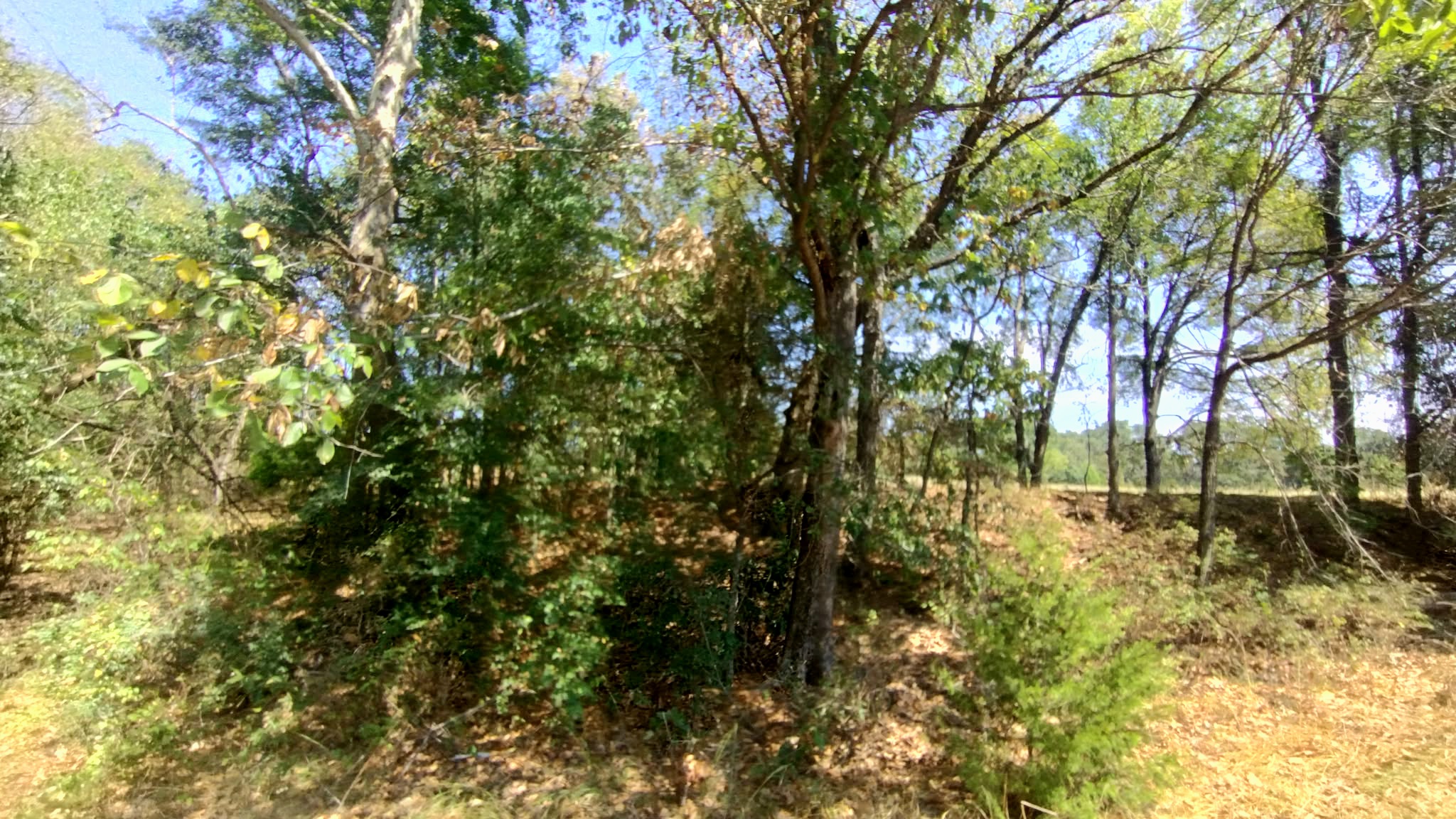 467353 W Highway 62 Westville OK 74965
