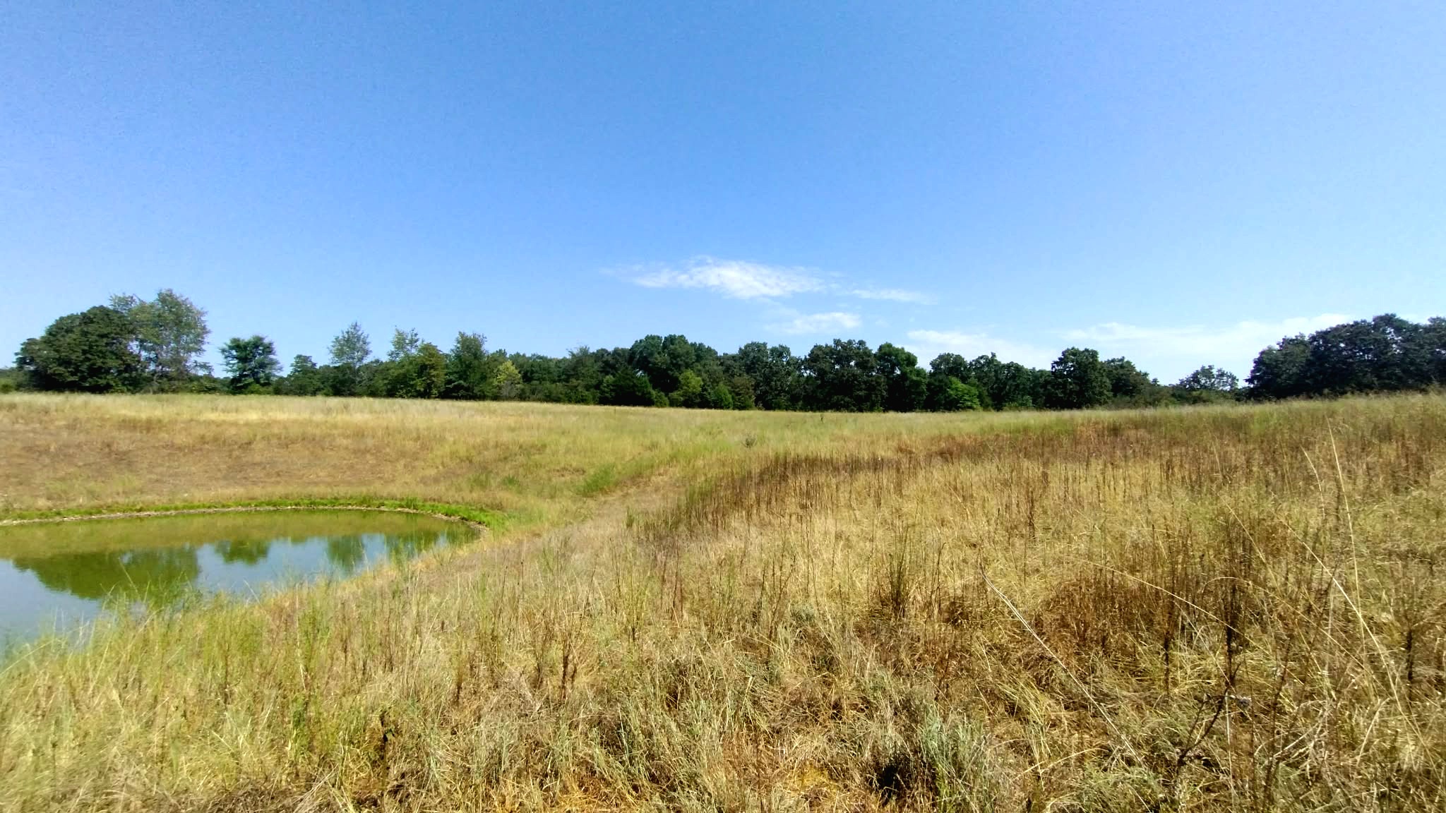 467353 W Highway 62 Westville OK 74965
