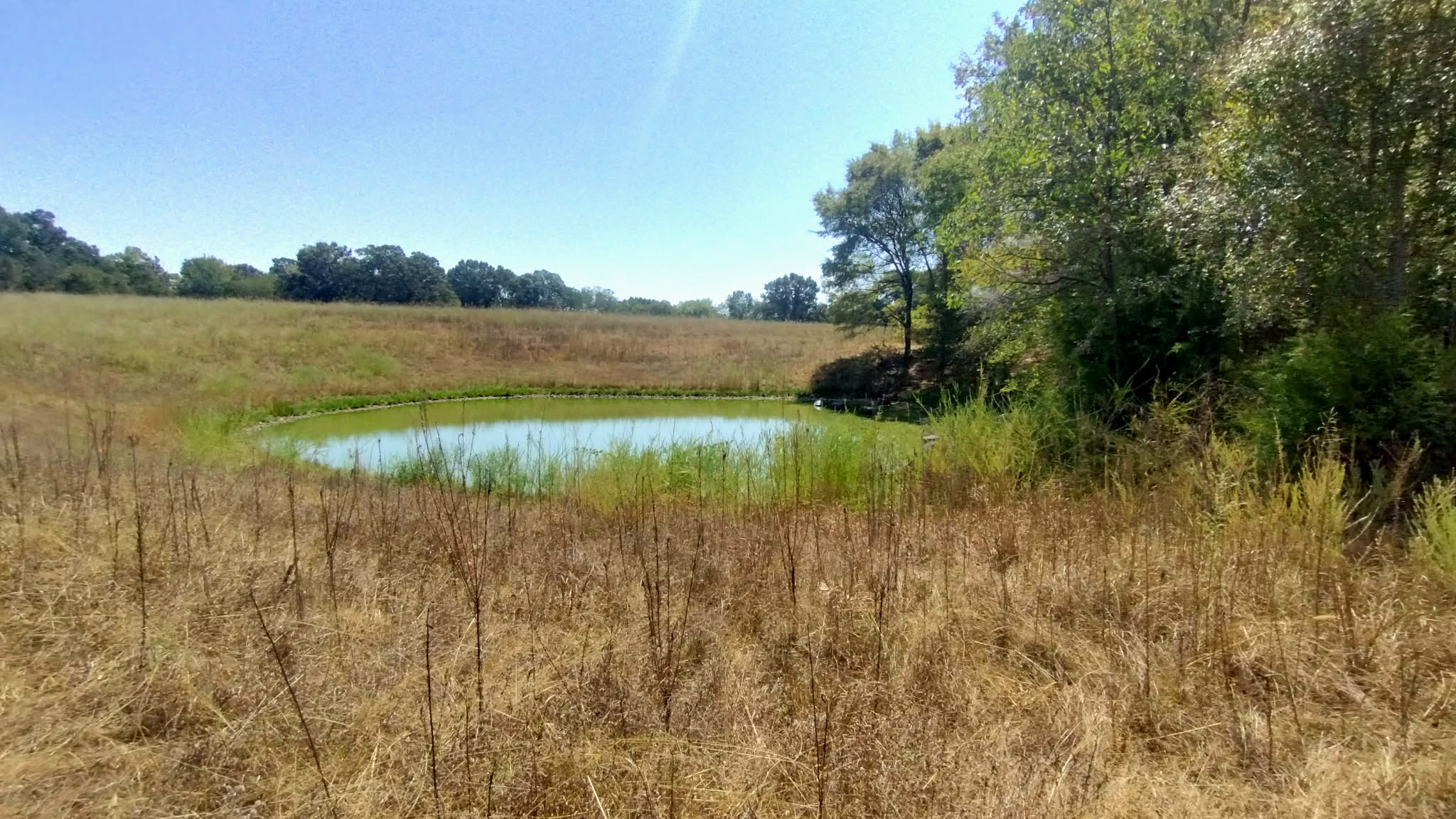 467353 W Highway 62 Westville OK 74965