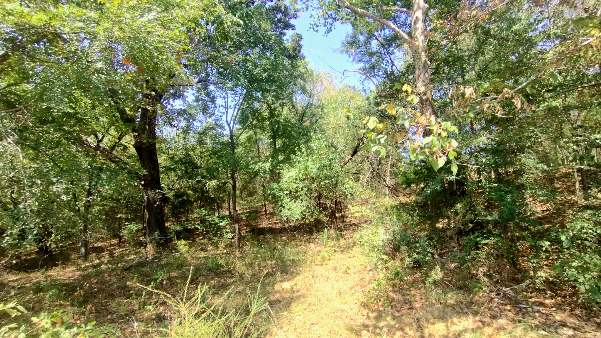 467353 W Highway 62 Westville OK 74965