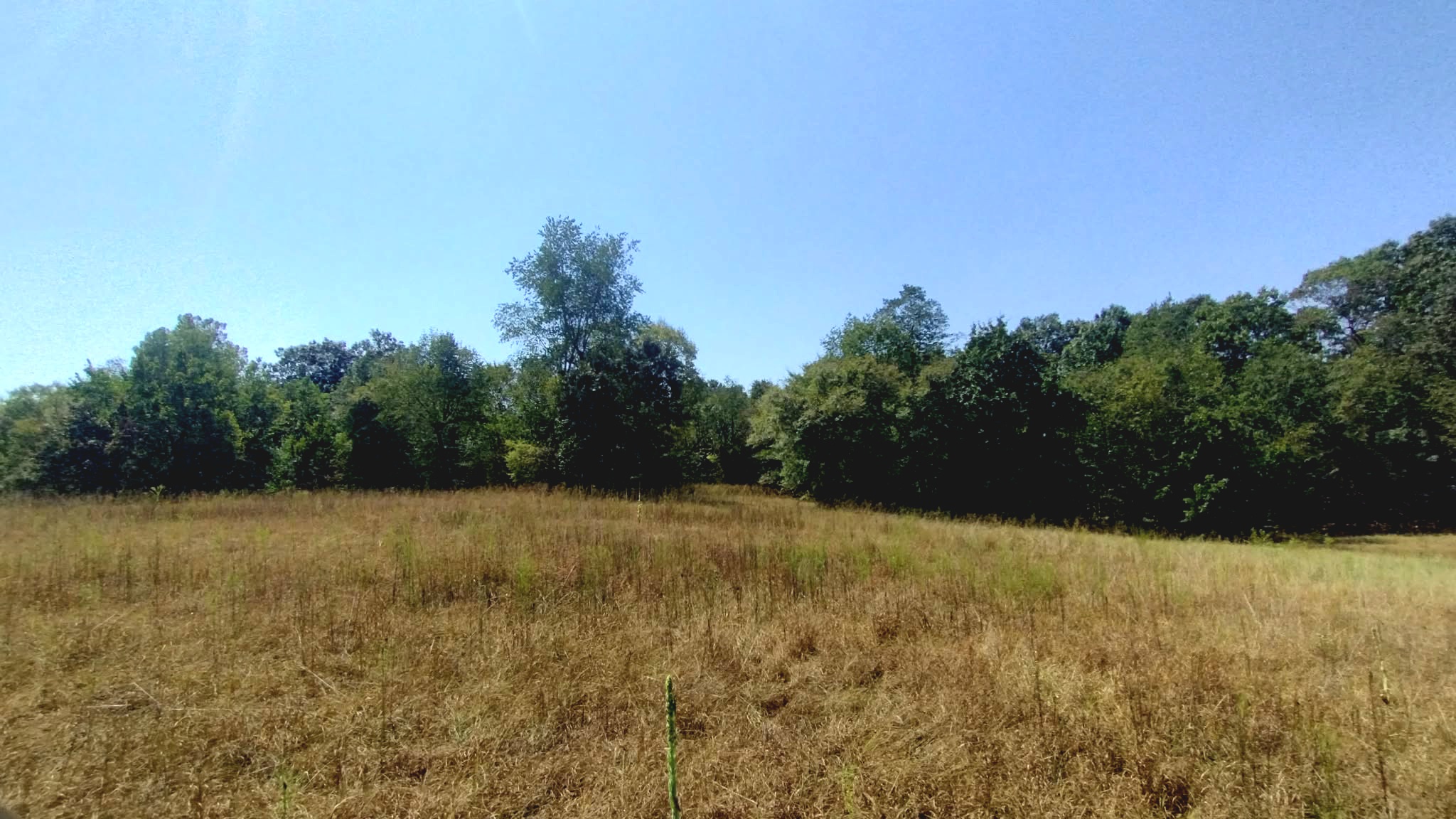 467353 W Highway 62 Westville OK 74965