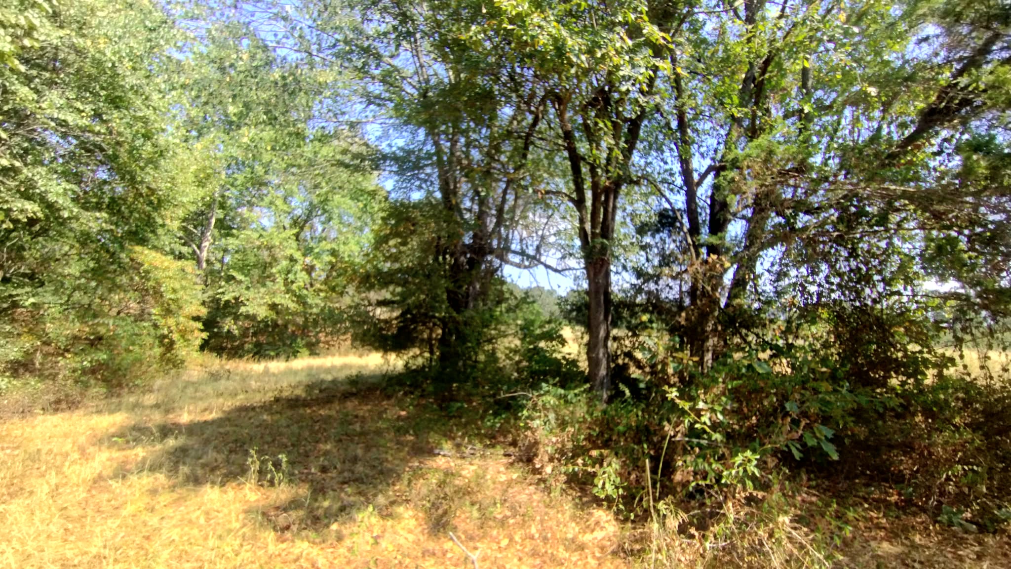 467353 W Highway 62 Westville OK 74965