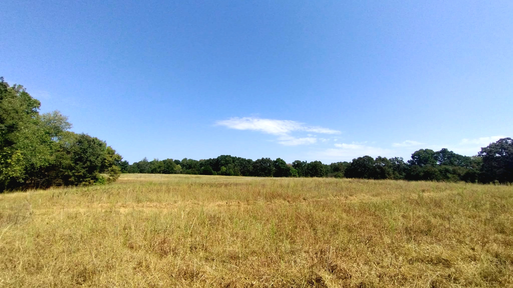 467353 W Highway 62 Westville OK 74965