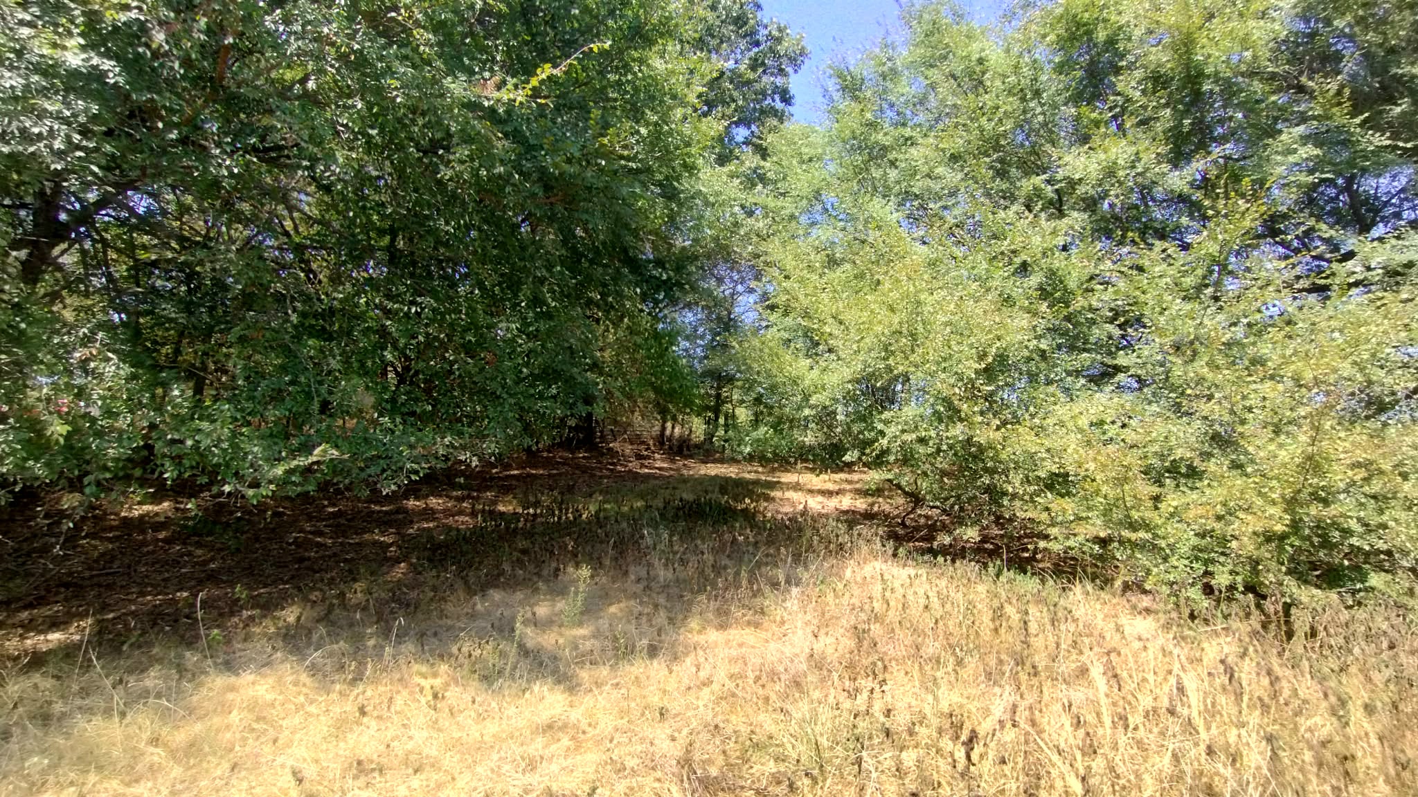 467353 W Highway 62 Westville OK 74965