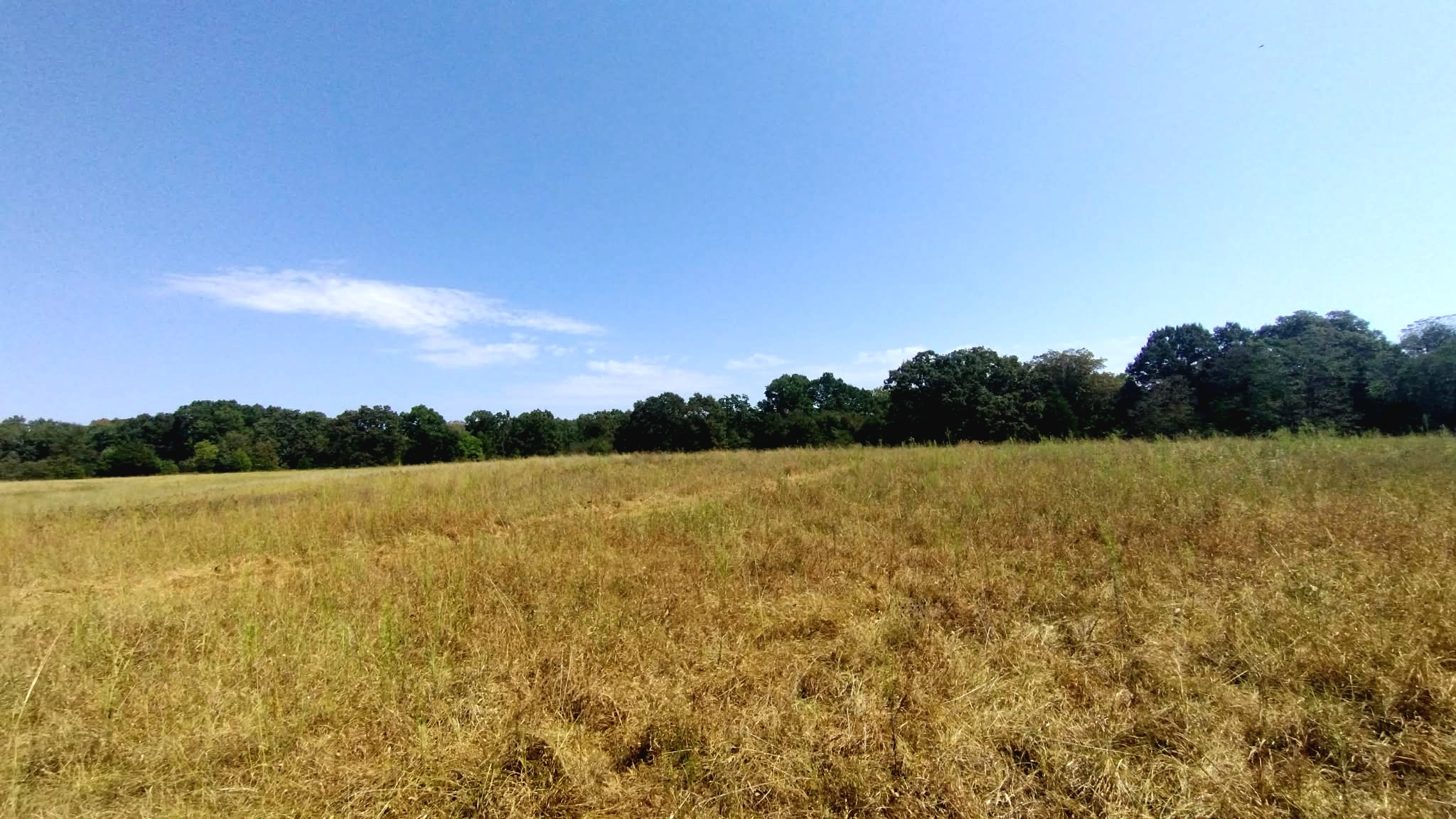 467353 W Highway 62 Westville OK 74965