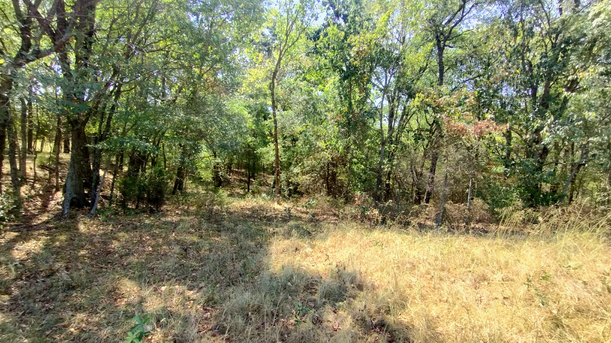 467353 W Highway 62 Westville OK 74965