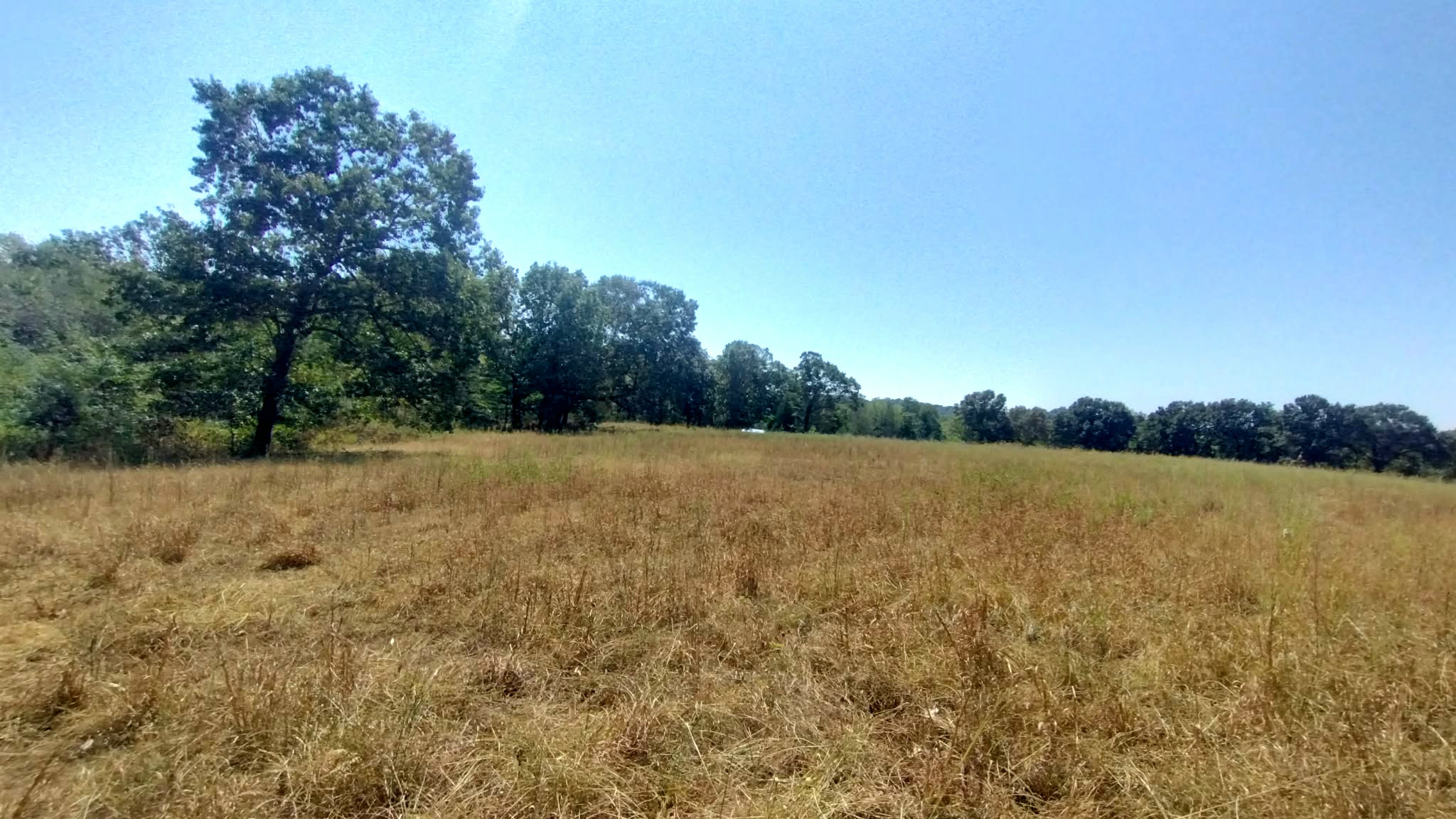 467353 W Highway 62 Westville OK 74965