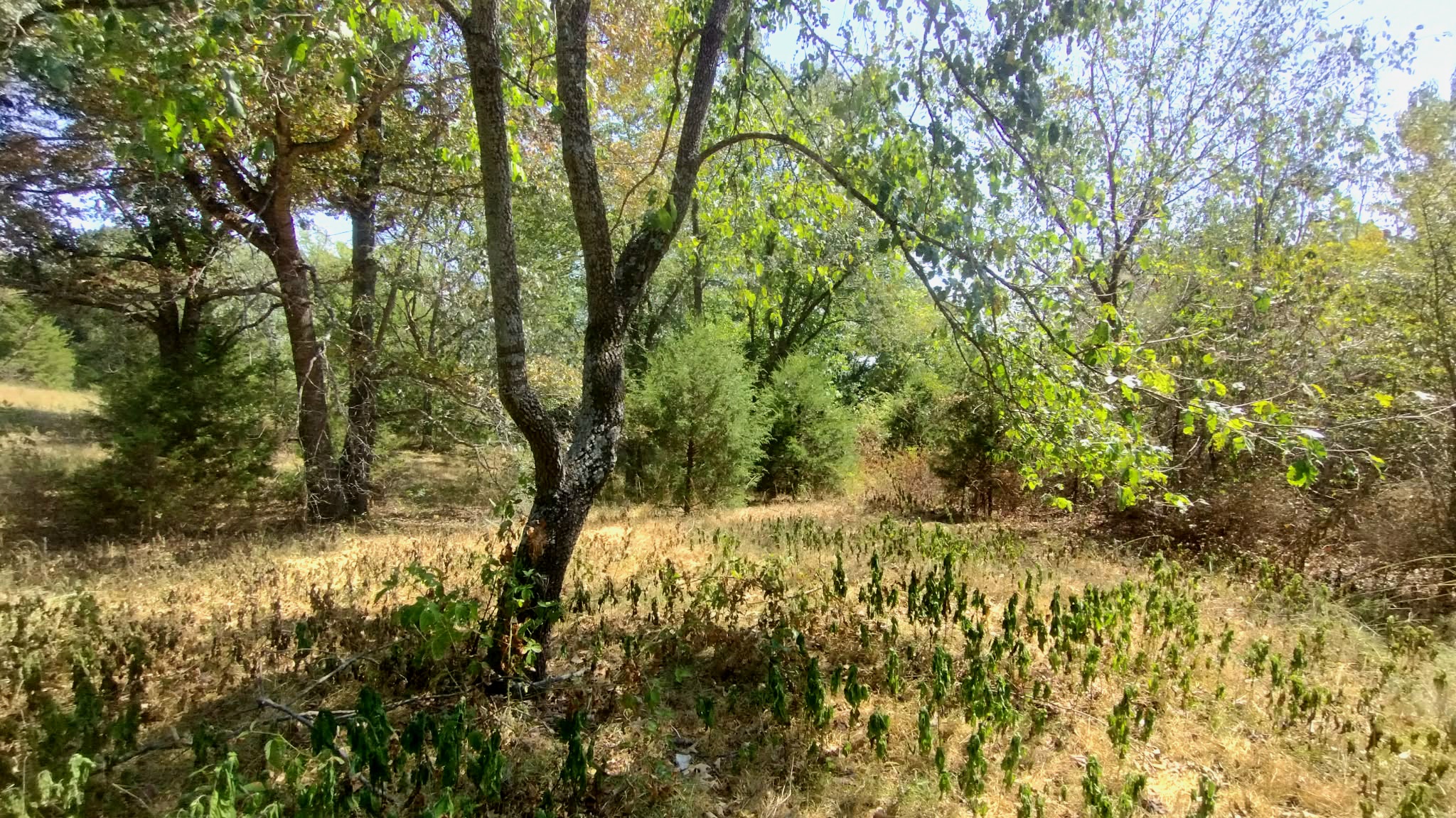 467353 W Highway 62 Westville OK 74965