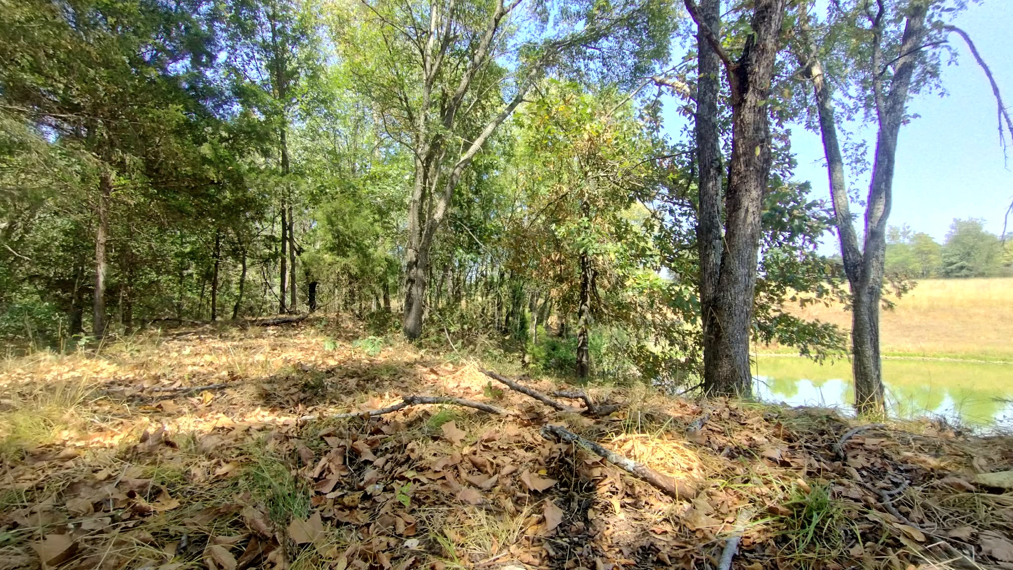 467353 W Highway 62 Westville OK 74965