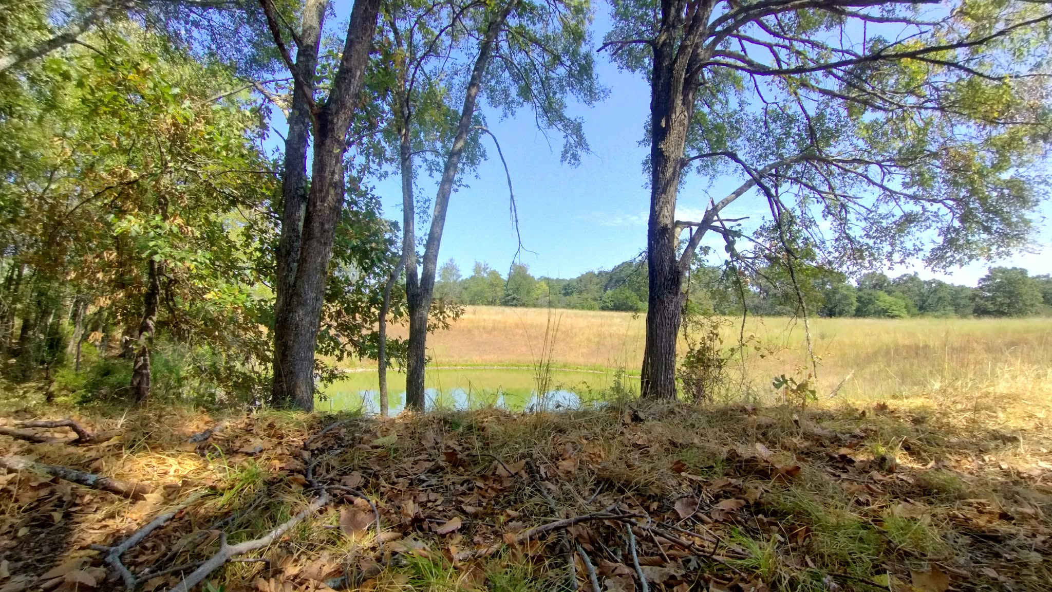 467353 W Highway 62 Westville OK 74965