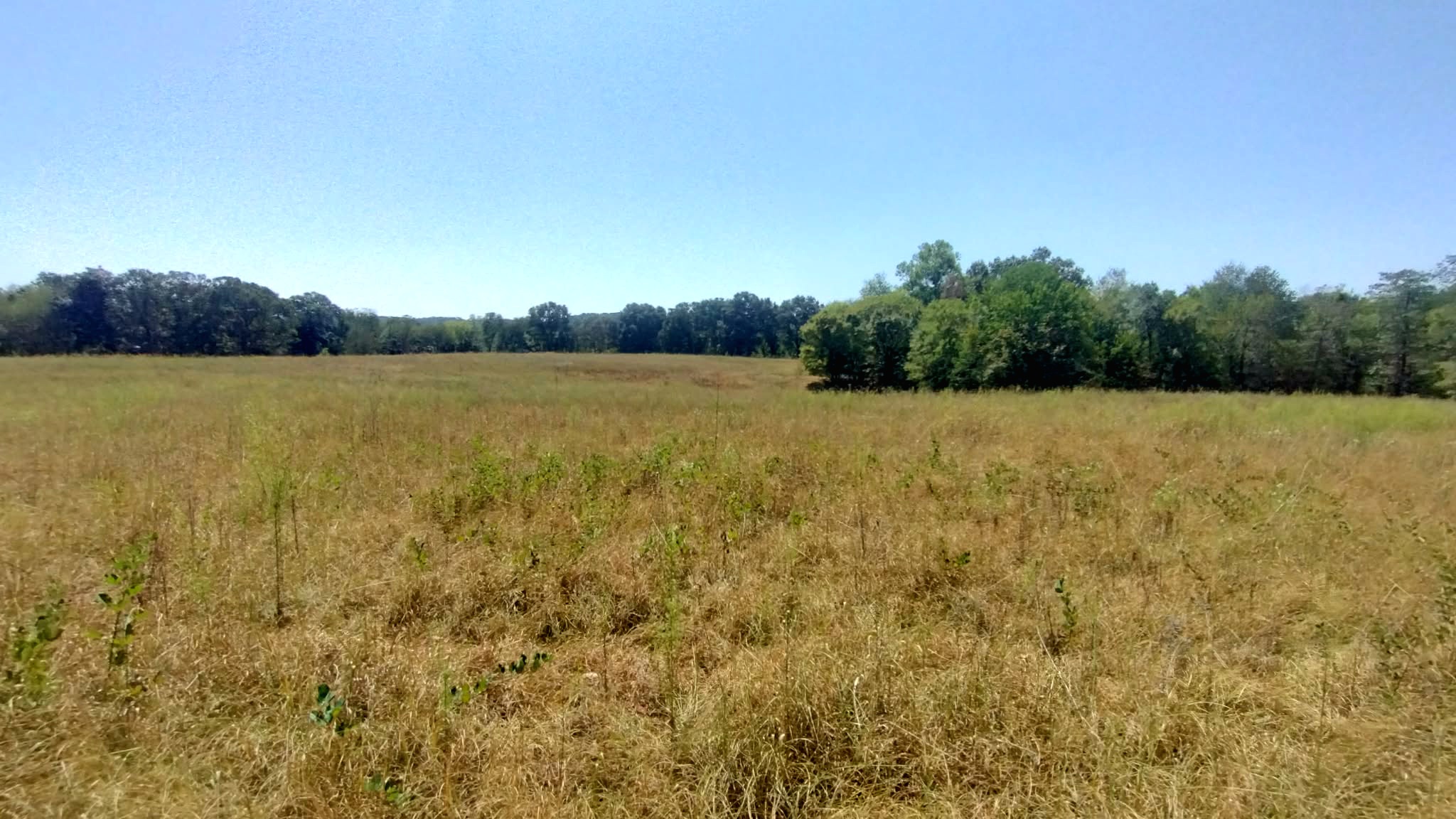 467353 W Highway 62 Westville OK 74965