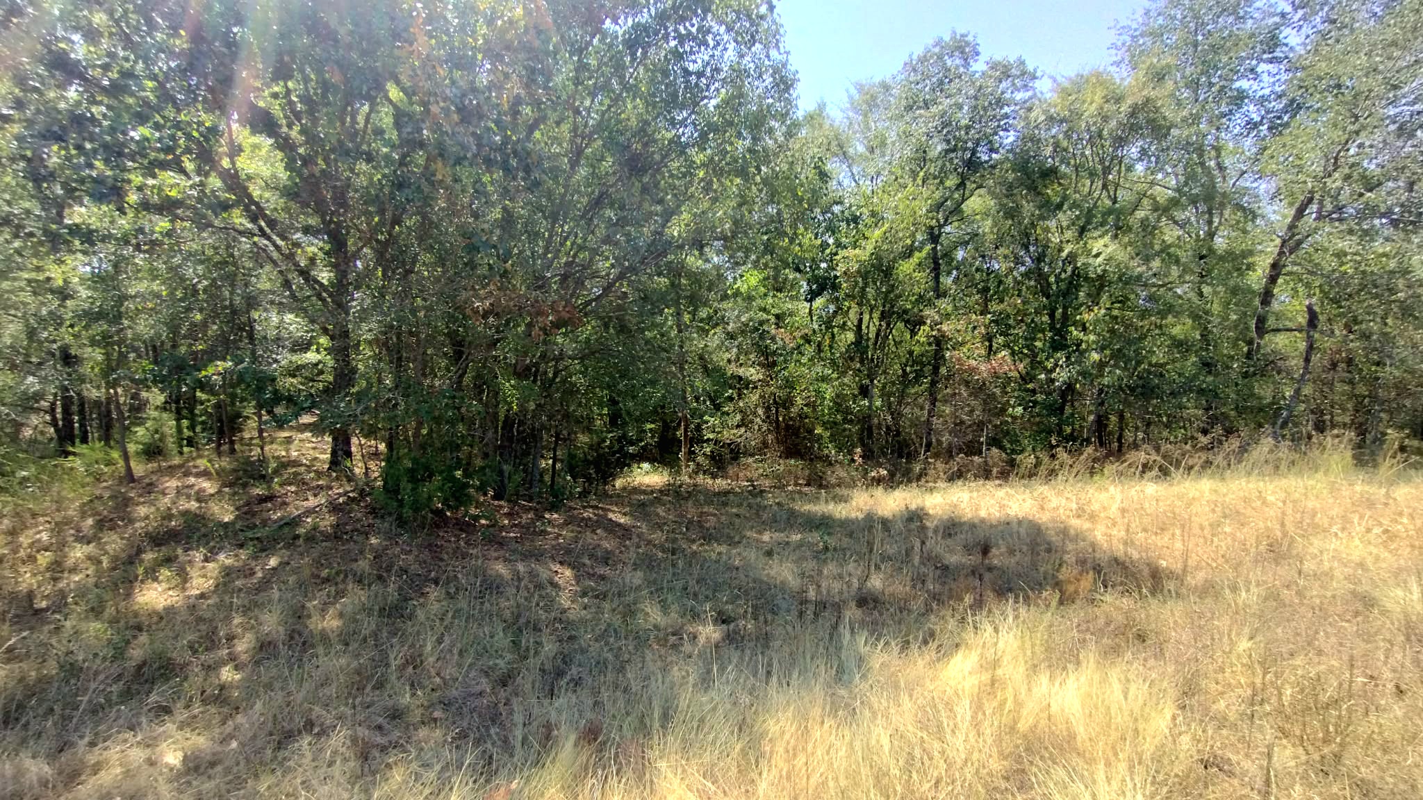 467353 W Highway 62 Westville OK 74965