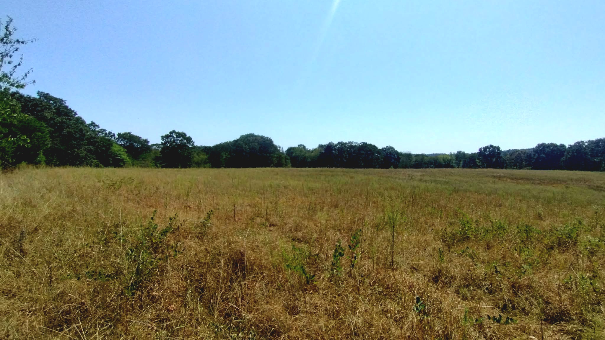 467353 W Highway 62 Westville OK 74965