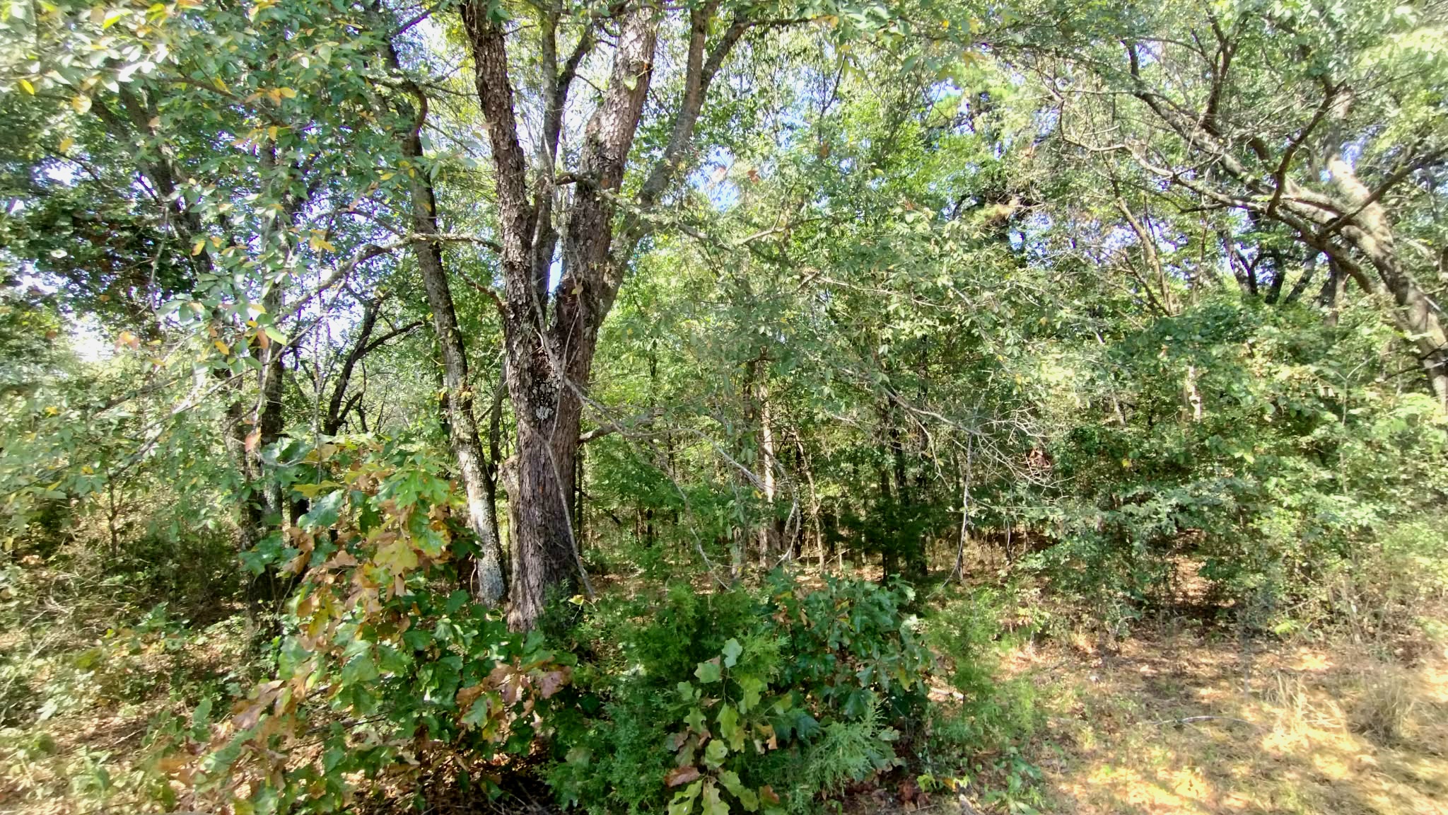 467353 W Highway 62 Westville OK 74965