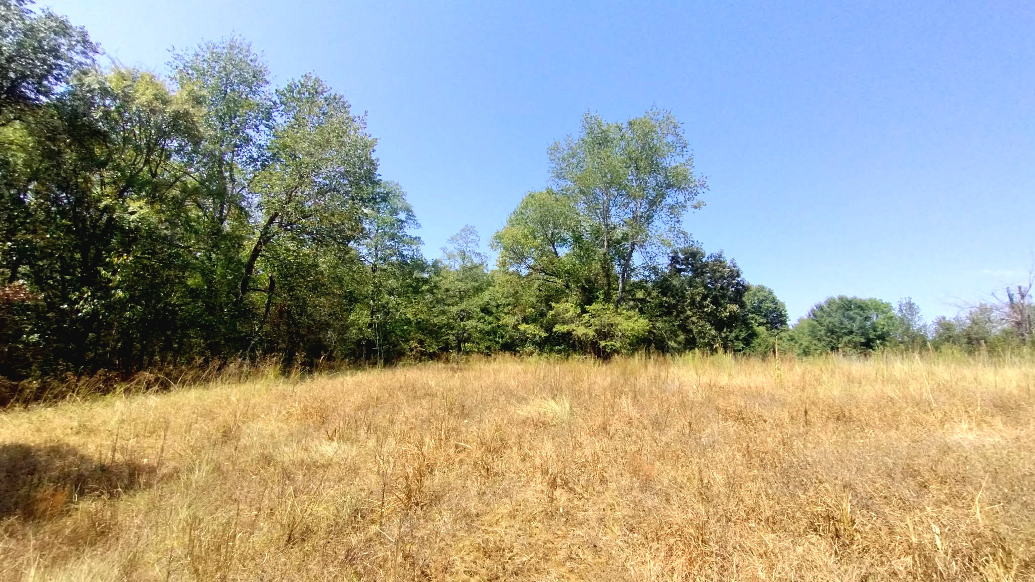 467353 W Highway 62 Westville OK 74965