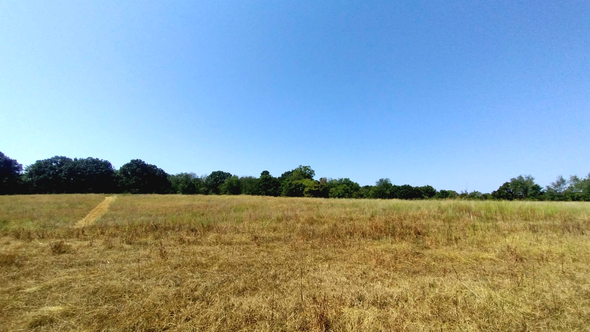 467353 W Highway 62 Westville OK 74965