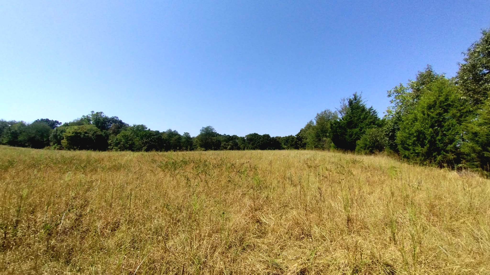 467353 W Highway 62 Westville OK 74965
